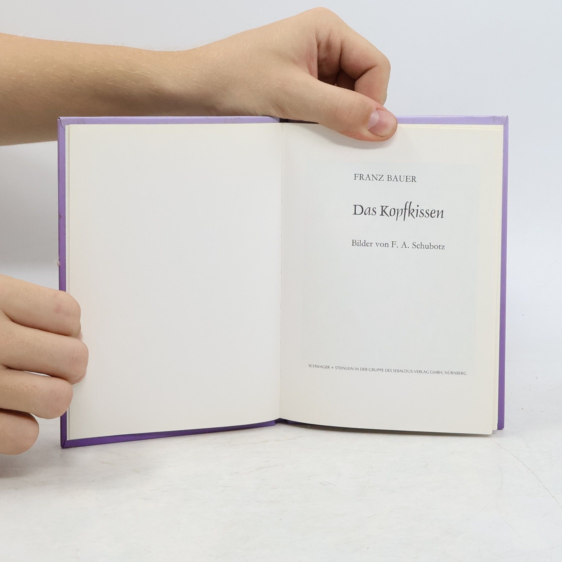 Various authors Das Kopfkissen