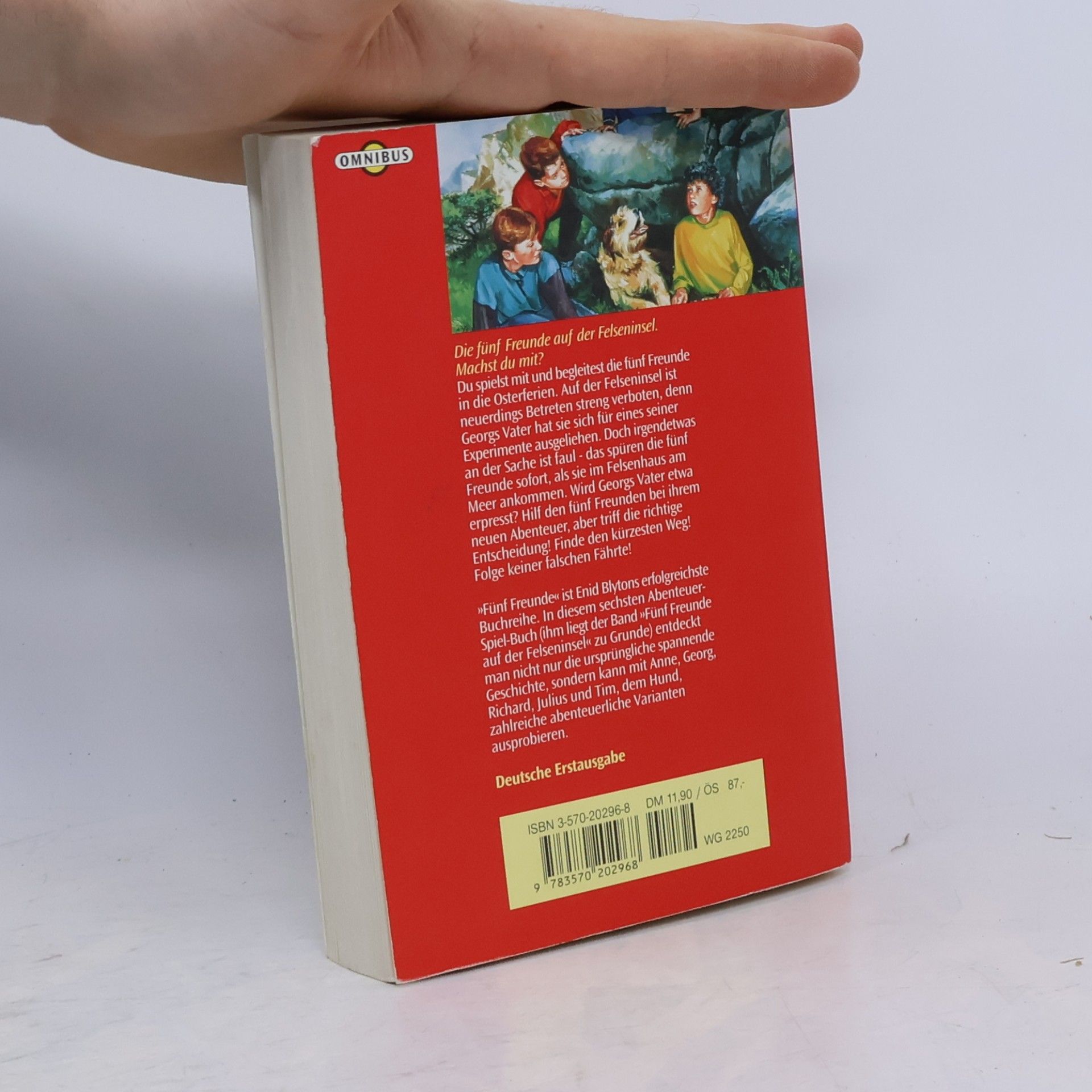 Enid Blyton Fünf Freunde und Du auf der Felseninsel