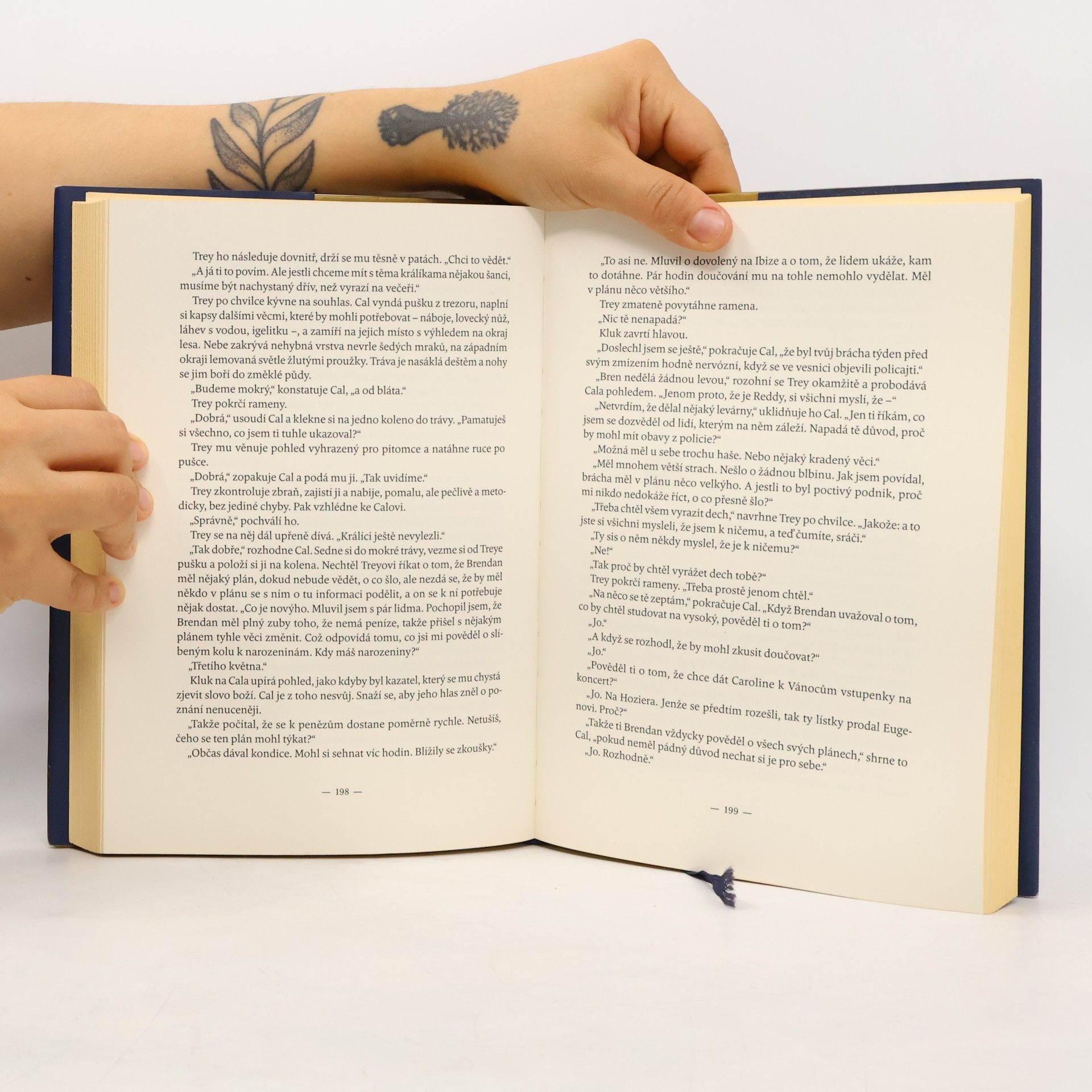 Tana French Slídil