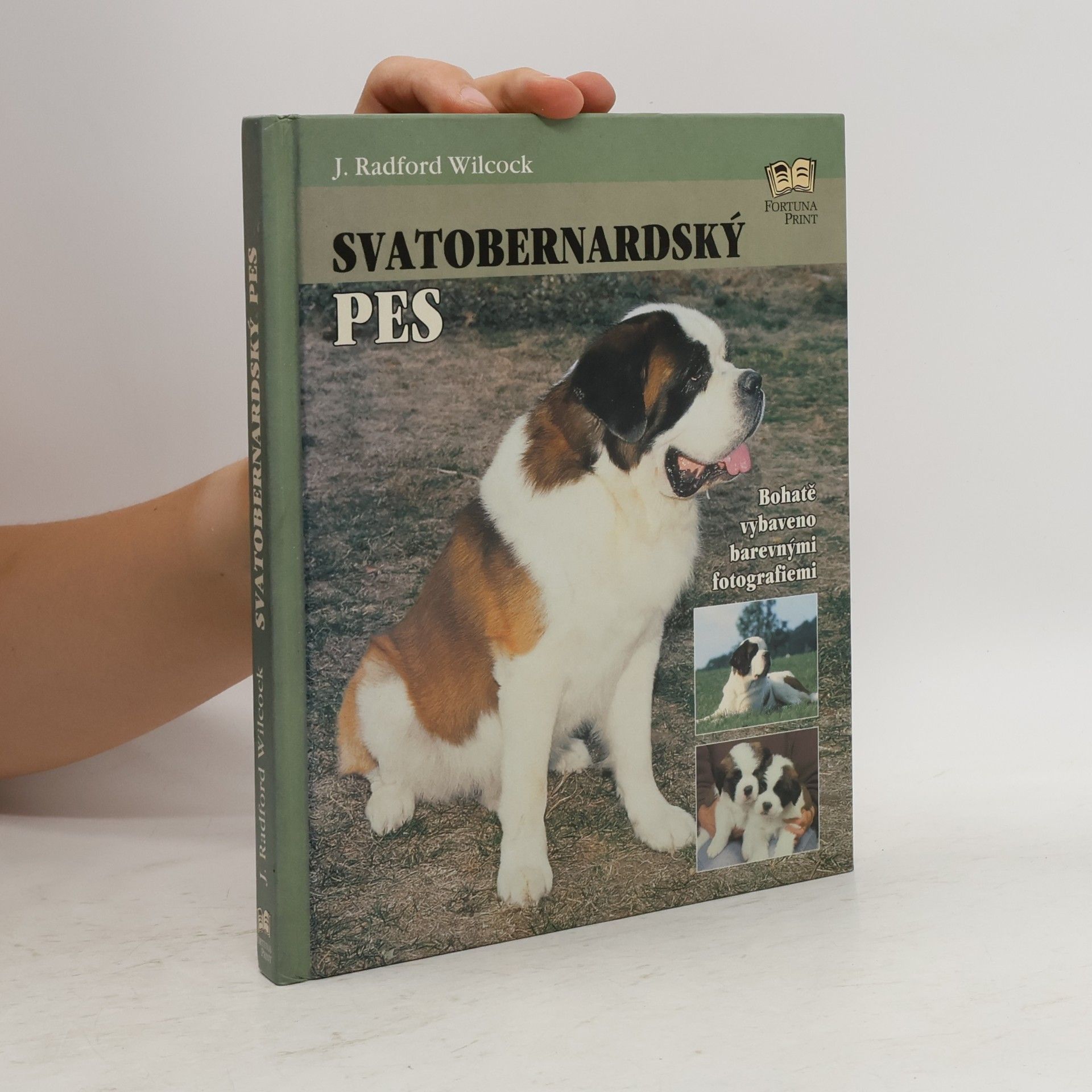 J. Radford Wilcock Svatobernardský pes