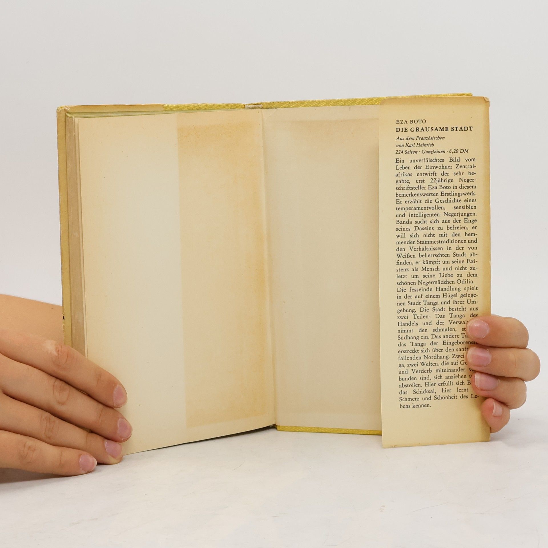 Rabindranath Tagore Welke und Sonne