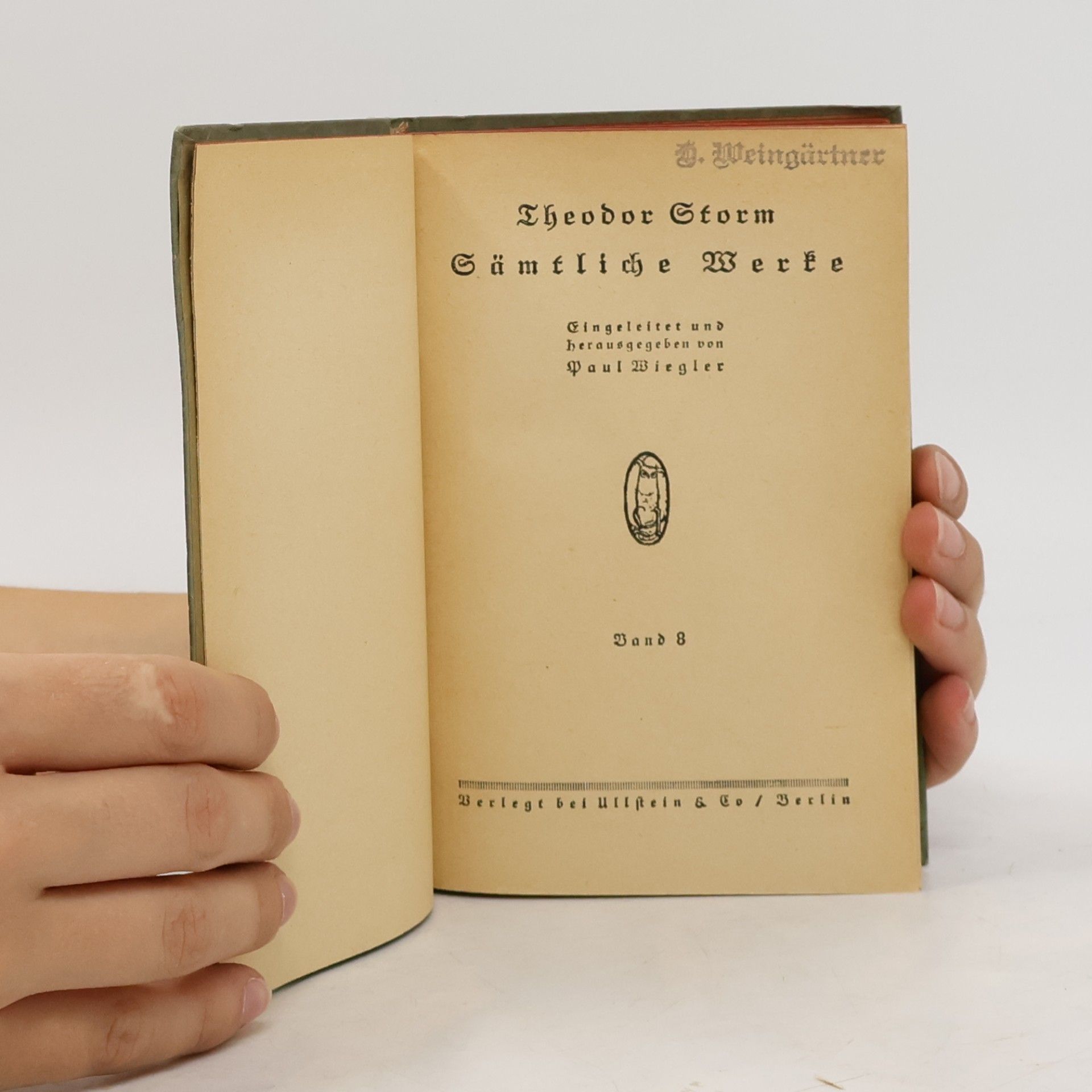Theodor Storm Sämtliche Werke 8