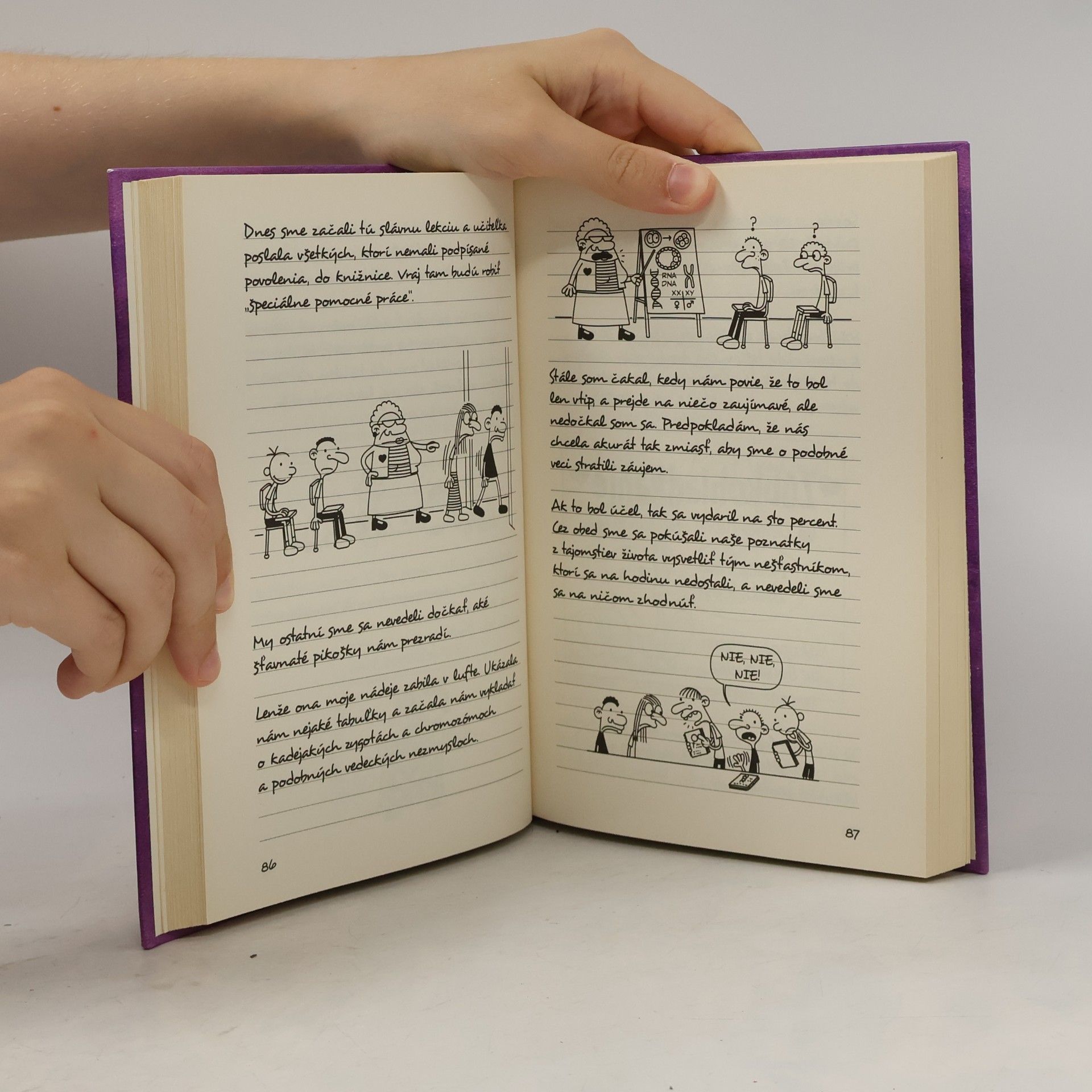 Jeff Kinney Denník odvážneho bojka 5. Krutá pravda