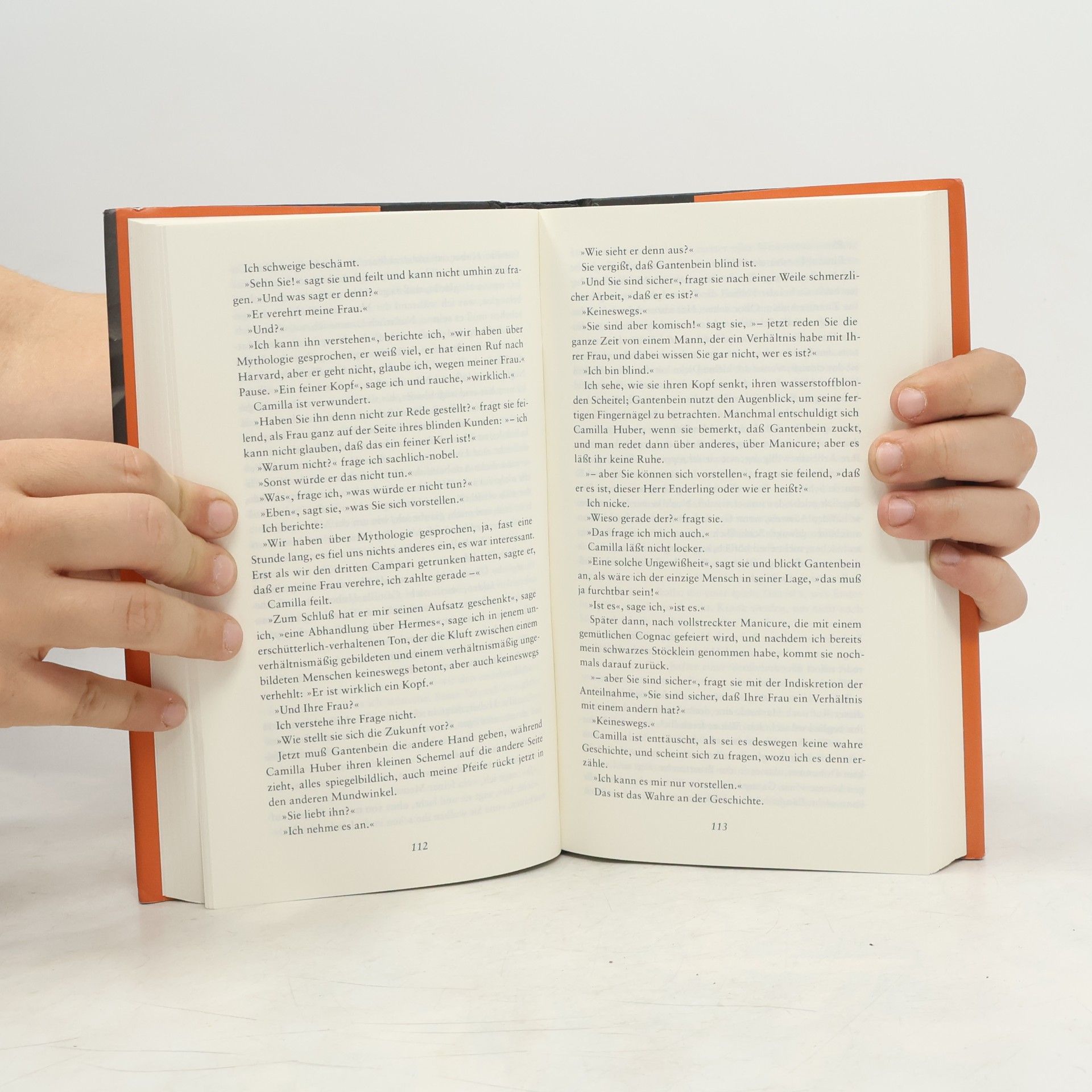 Max Frisch Mein Name sei Gantenbein