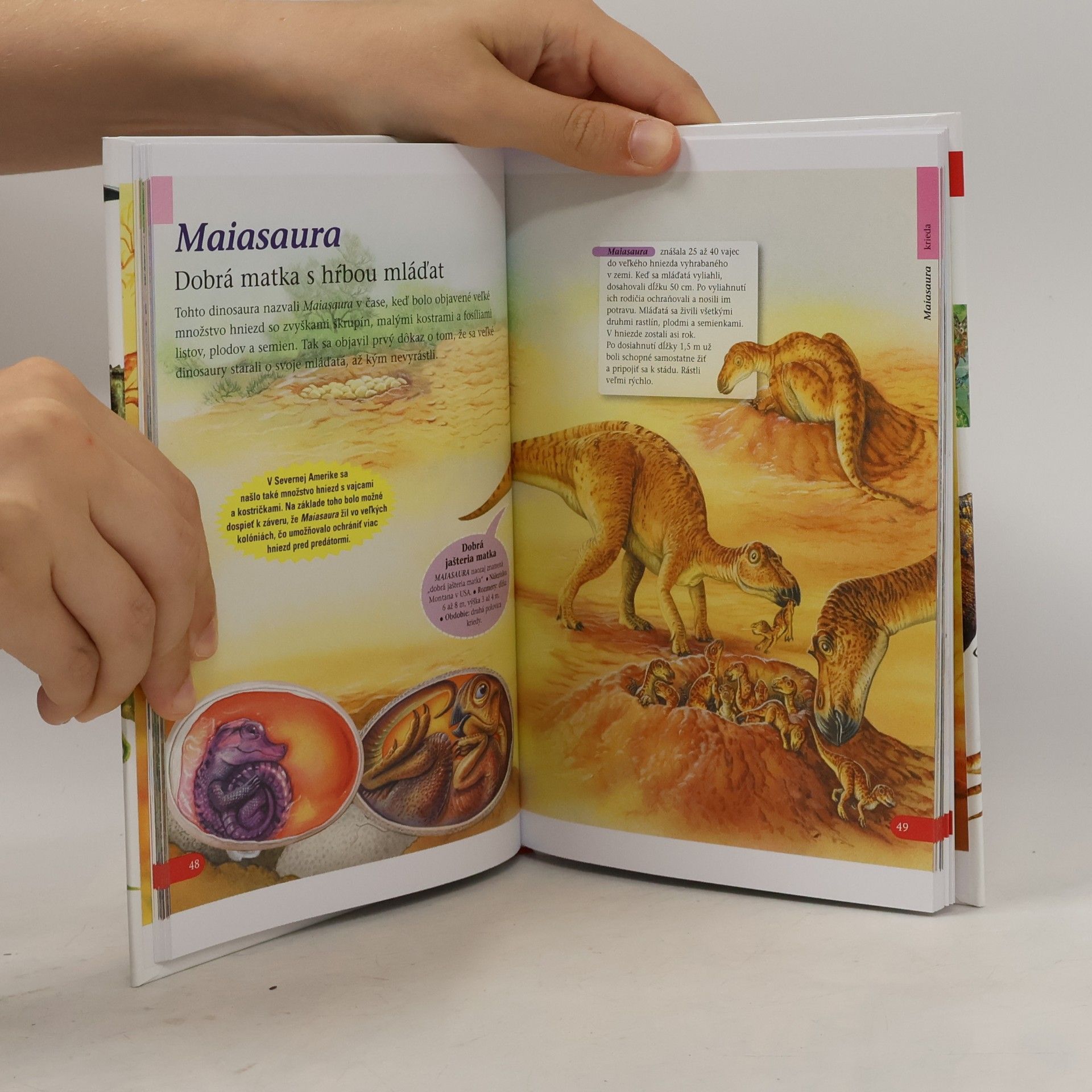 Autorenkollektiv Dinosaury