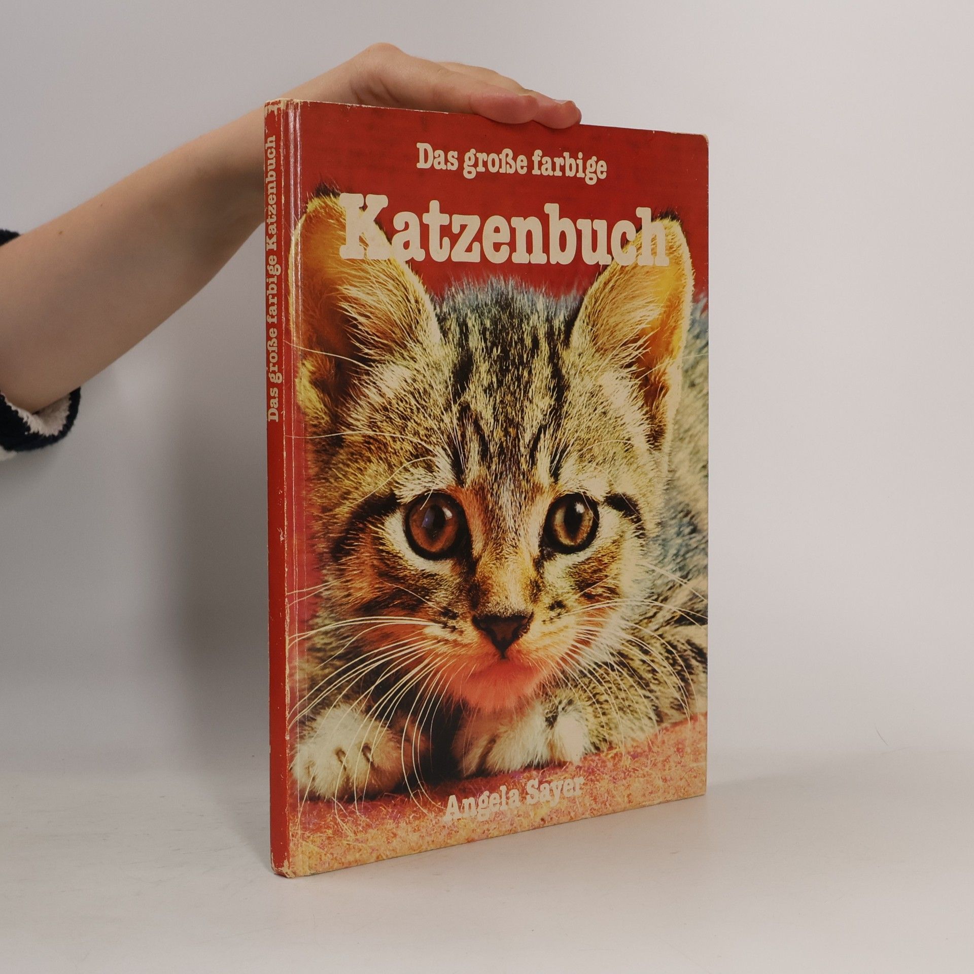 Angela Sayer Das große farbige Katzenbuch
