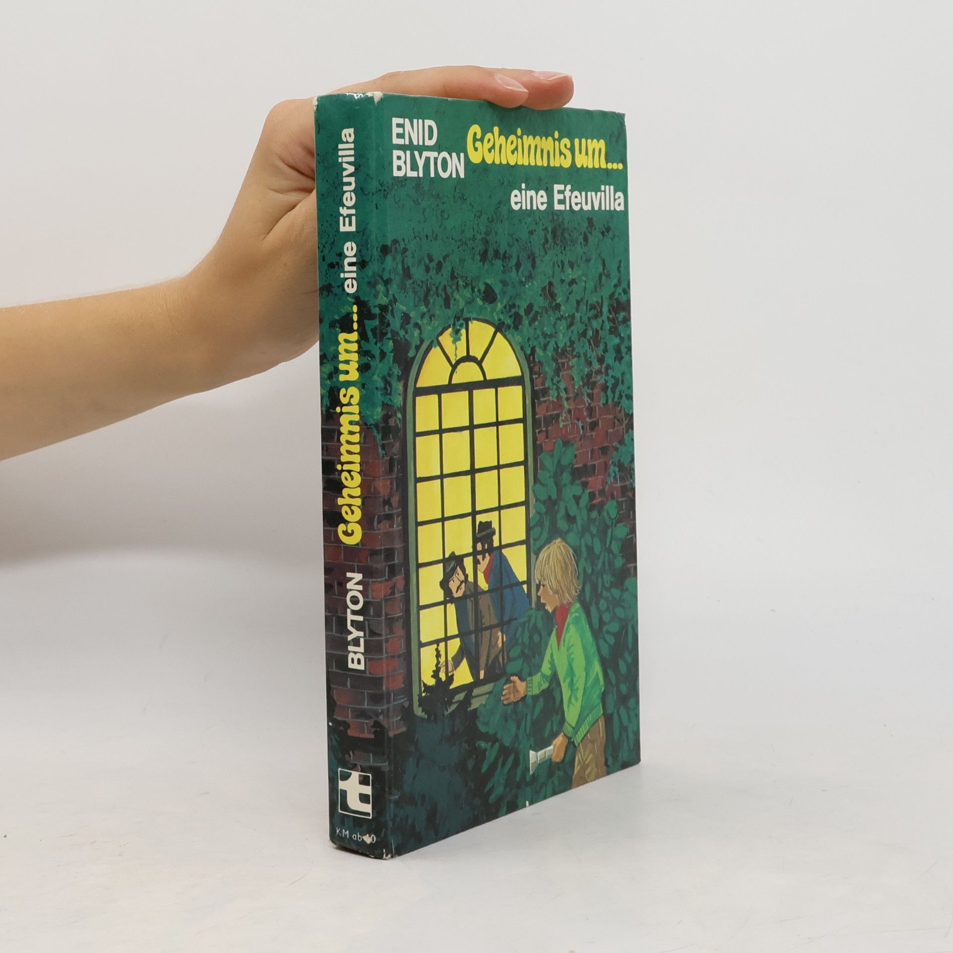 Enid Blyton Geheimnis um... eine Efeuvilla