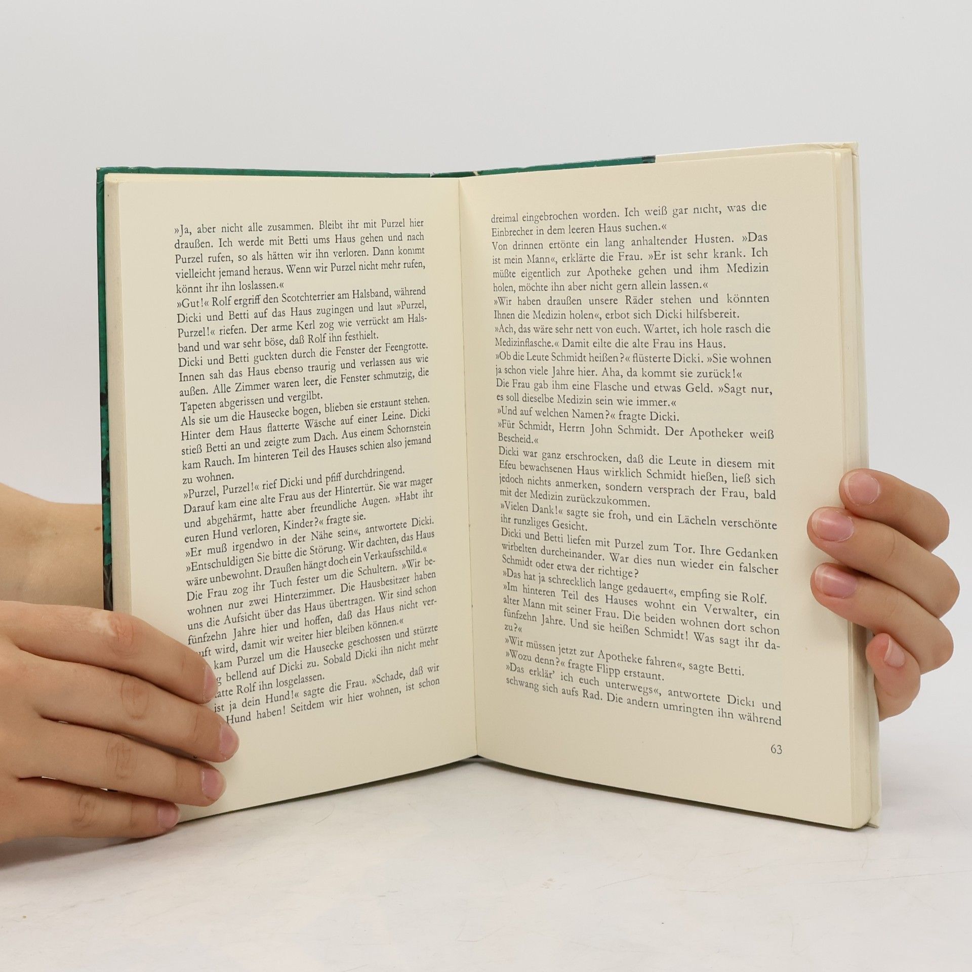 Enid Blyton Geheimnis um... eine Efeuvilla