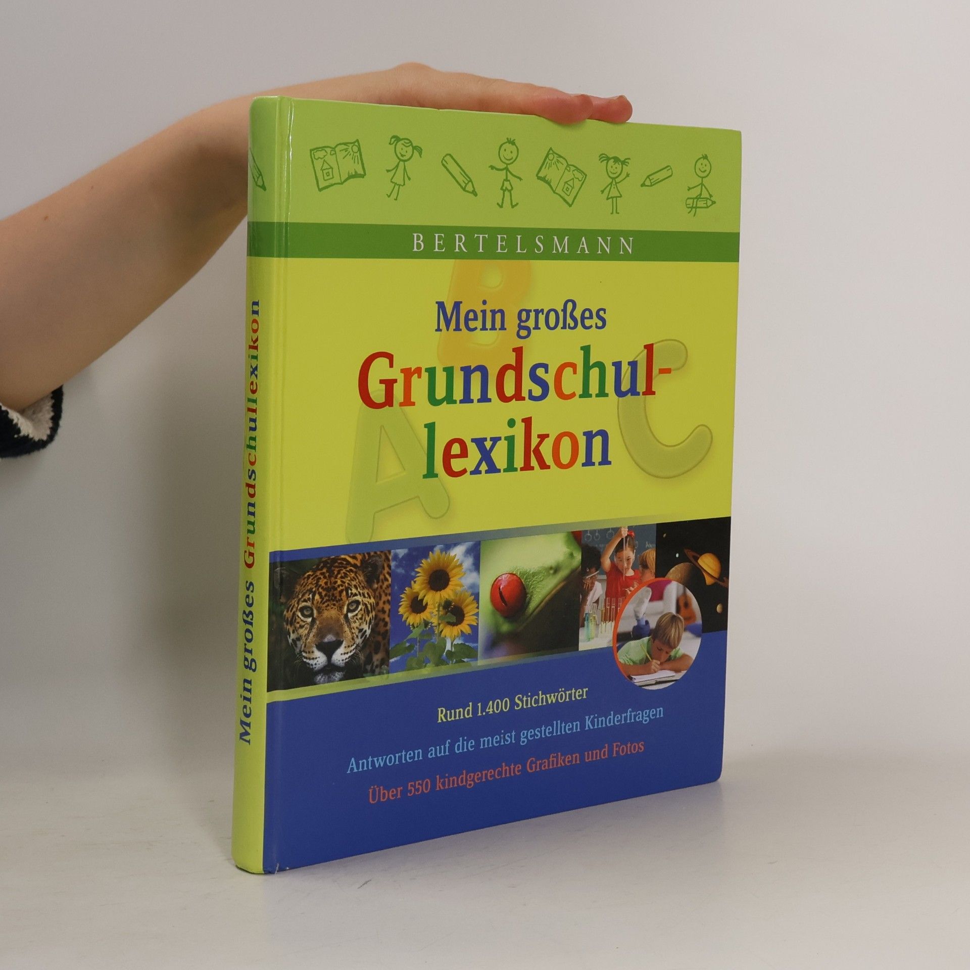 Mein großes Grundschullexikon