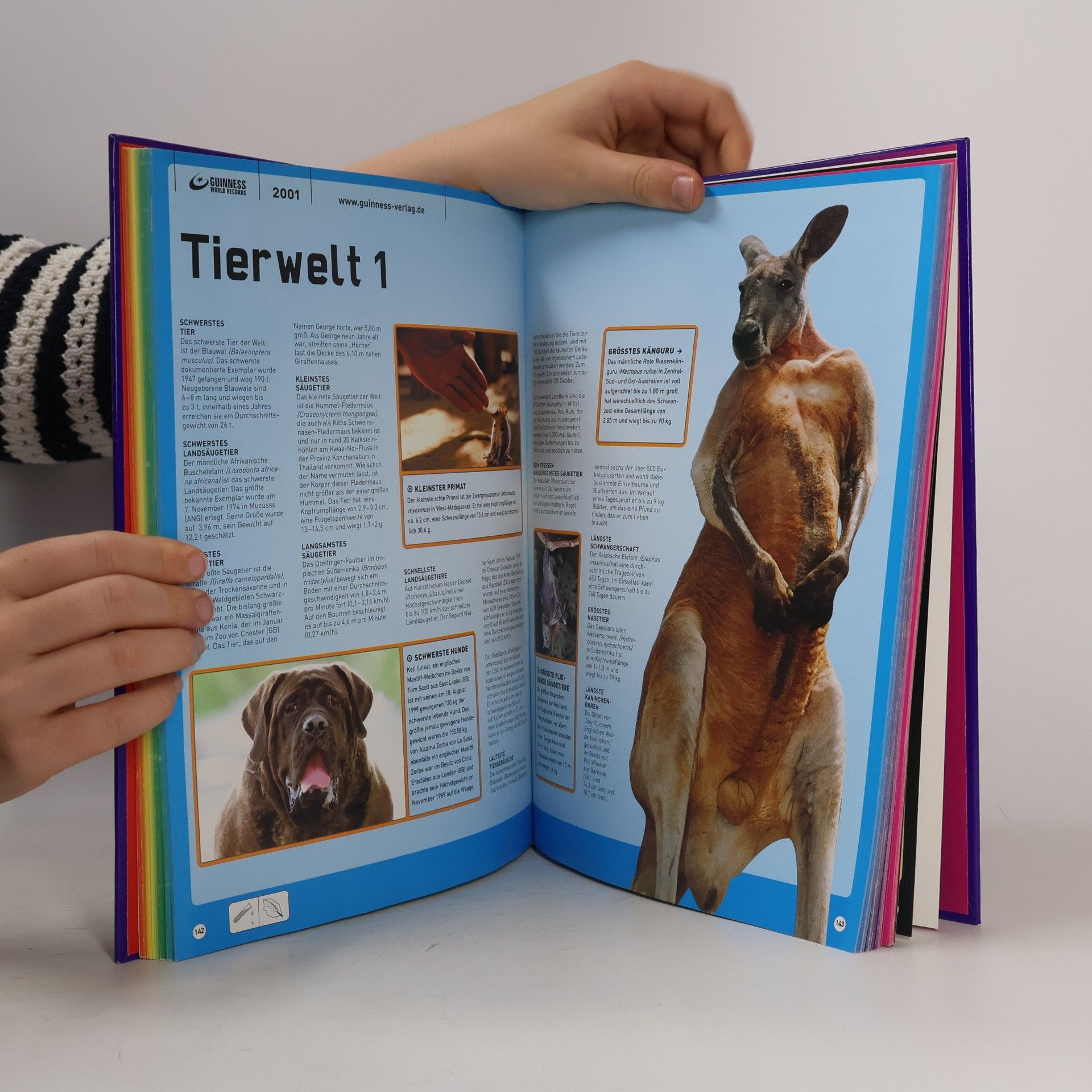 Autorenkollektiv Guinness Buch der Rekorde 2001
