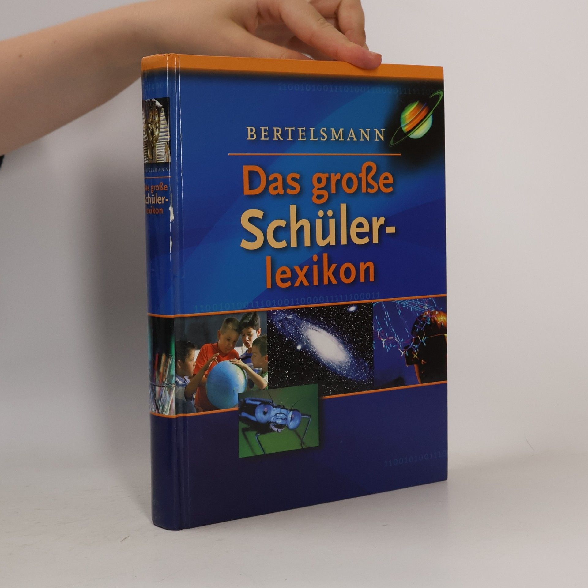 Anke Braun Das große Schülerlexikon