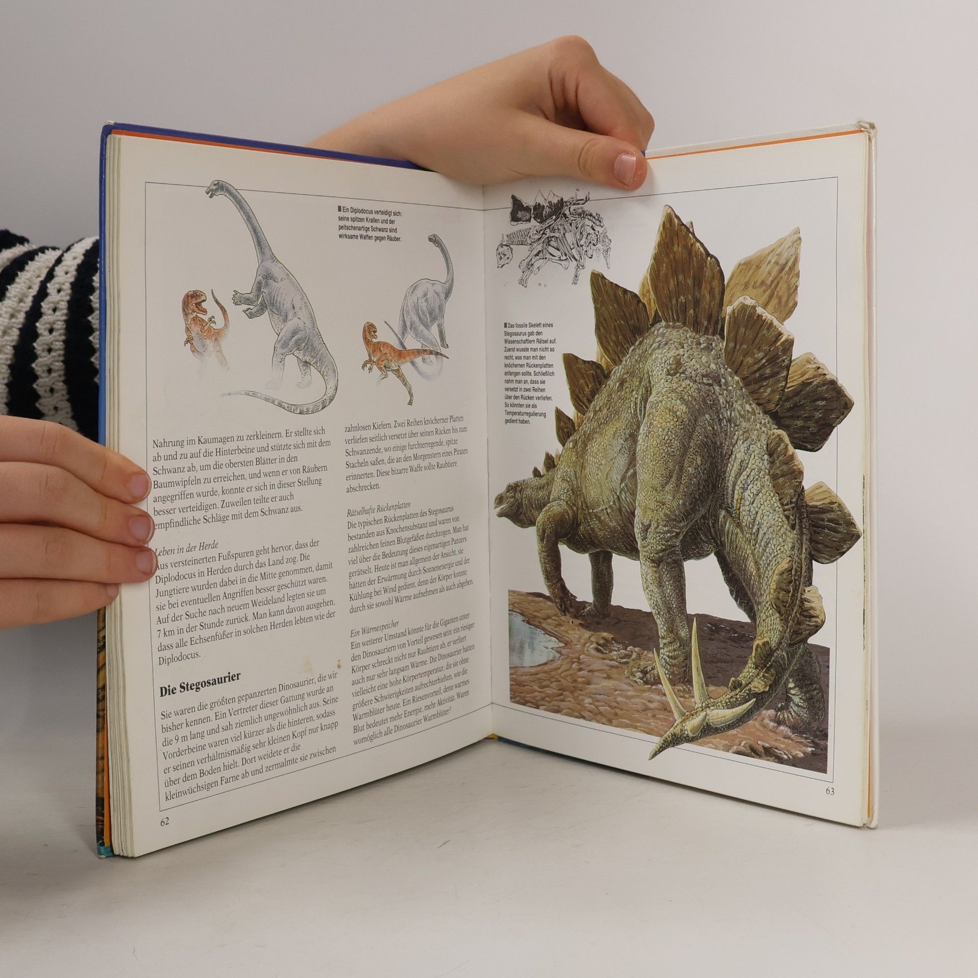 Maria Luisa Bozzi Die Welt der Dinosaurier