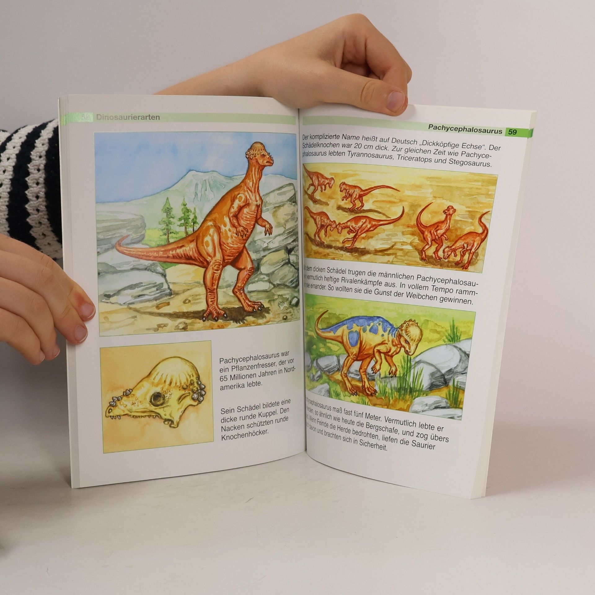 Bärbel Oftring Dinosaurier