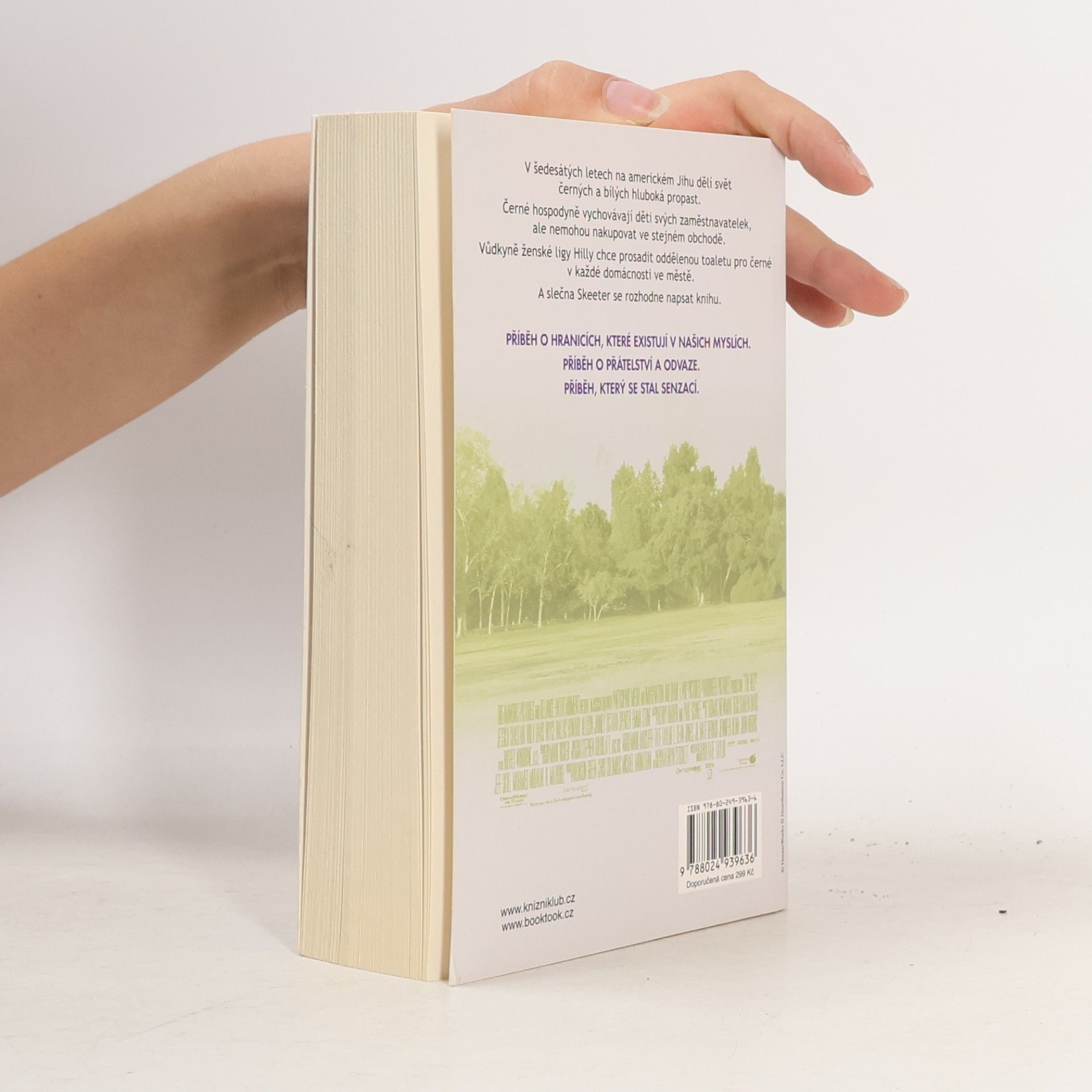 Kathryn Stockett Černobílý svět