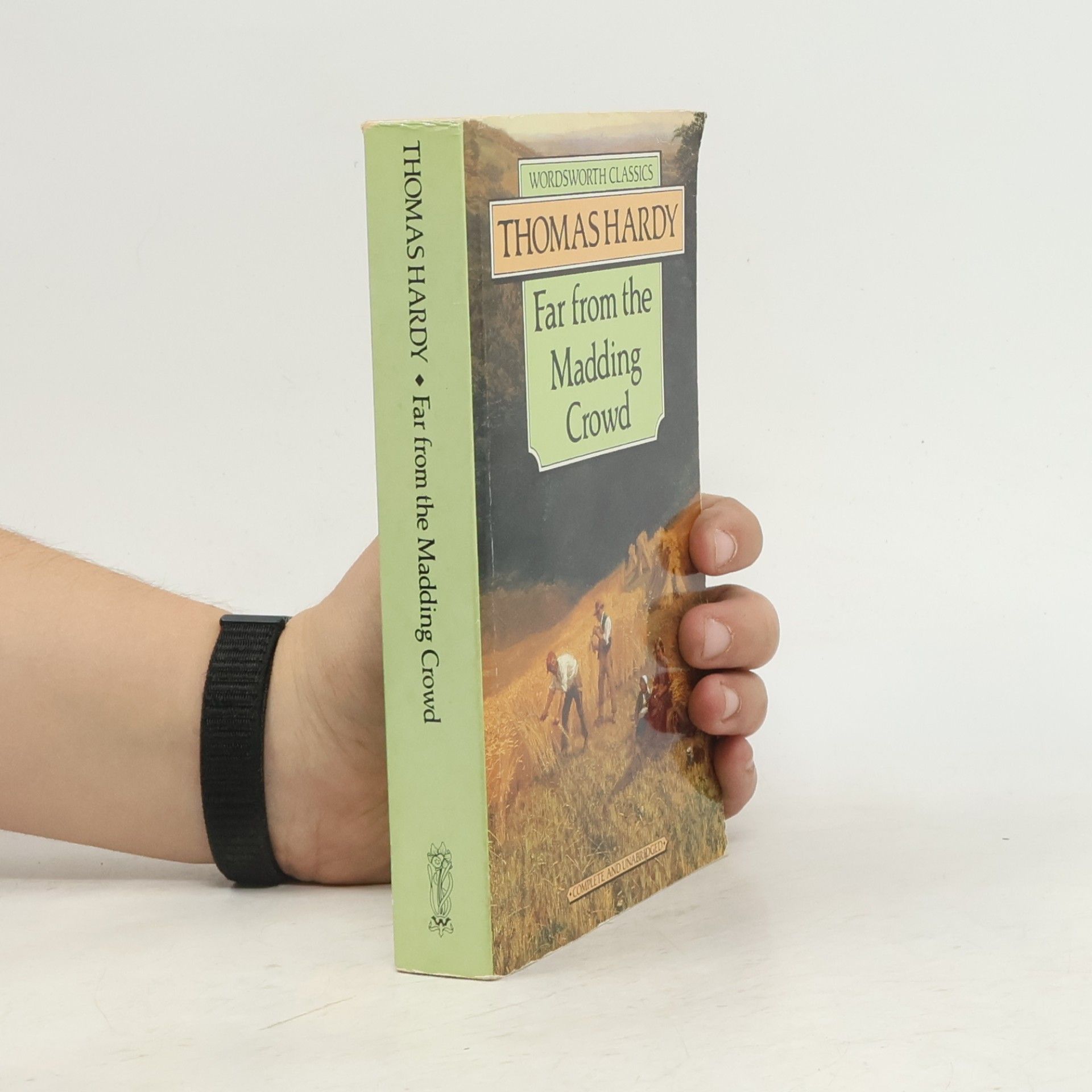 Thomas Hardy Far From the Madding Crowd