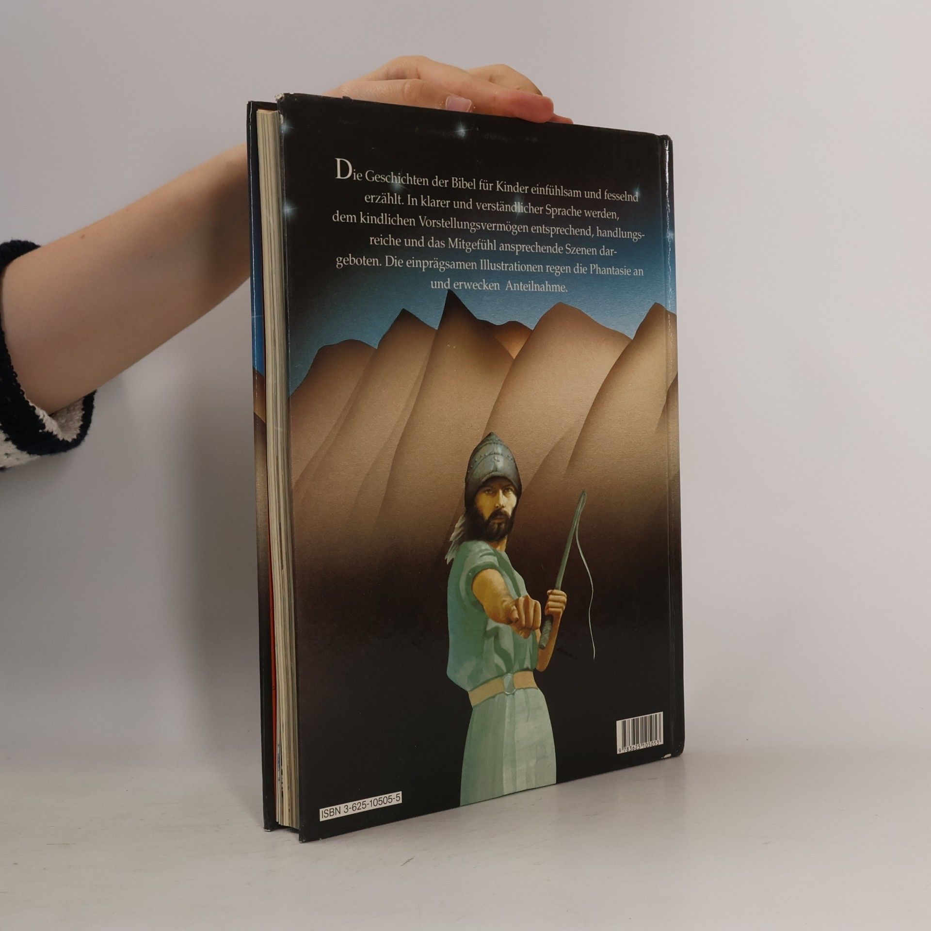 Kolektiv autorů Die Bibel