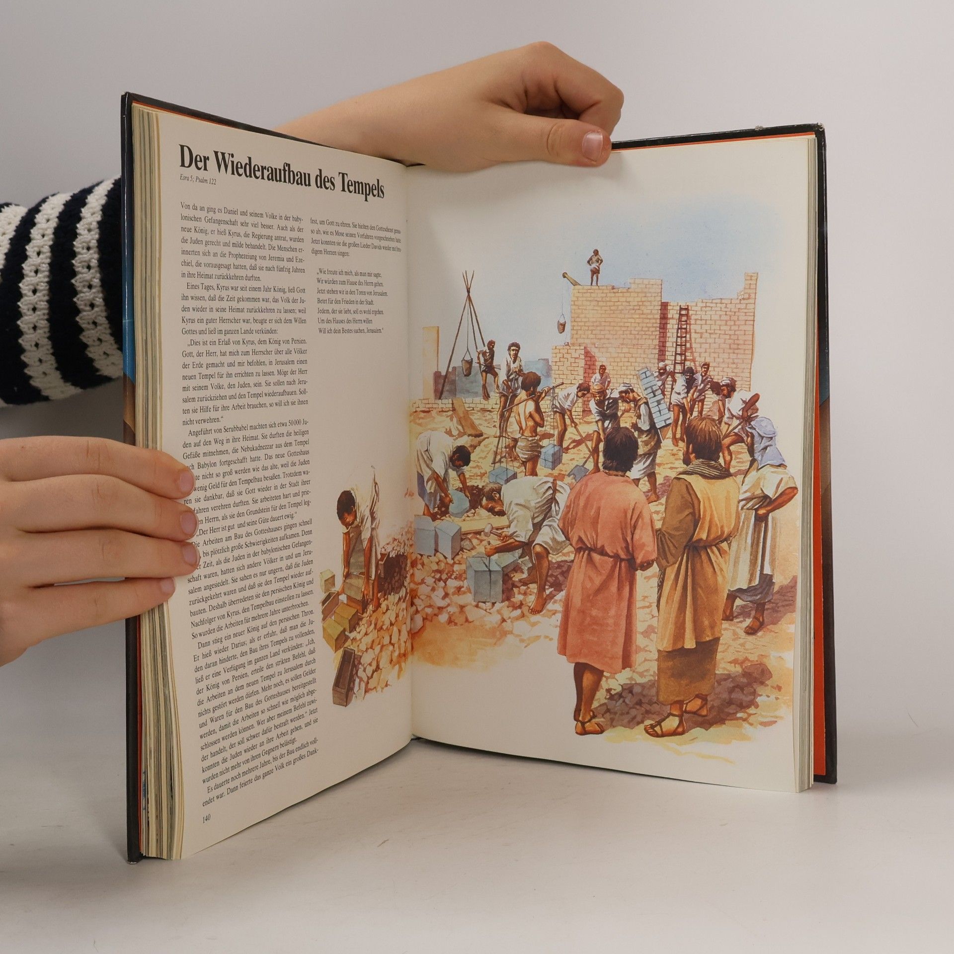 Kolektiv autorů Die Bibel