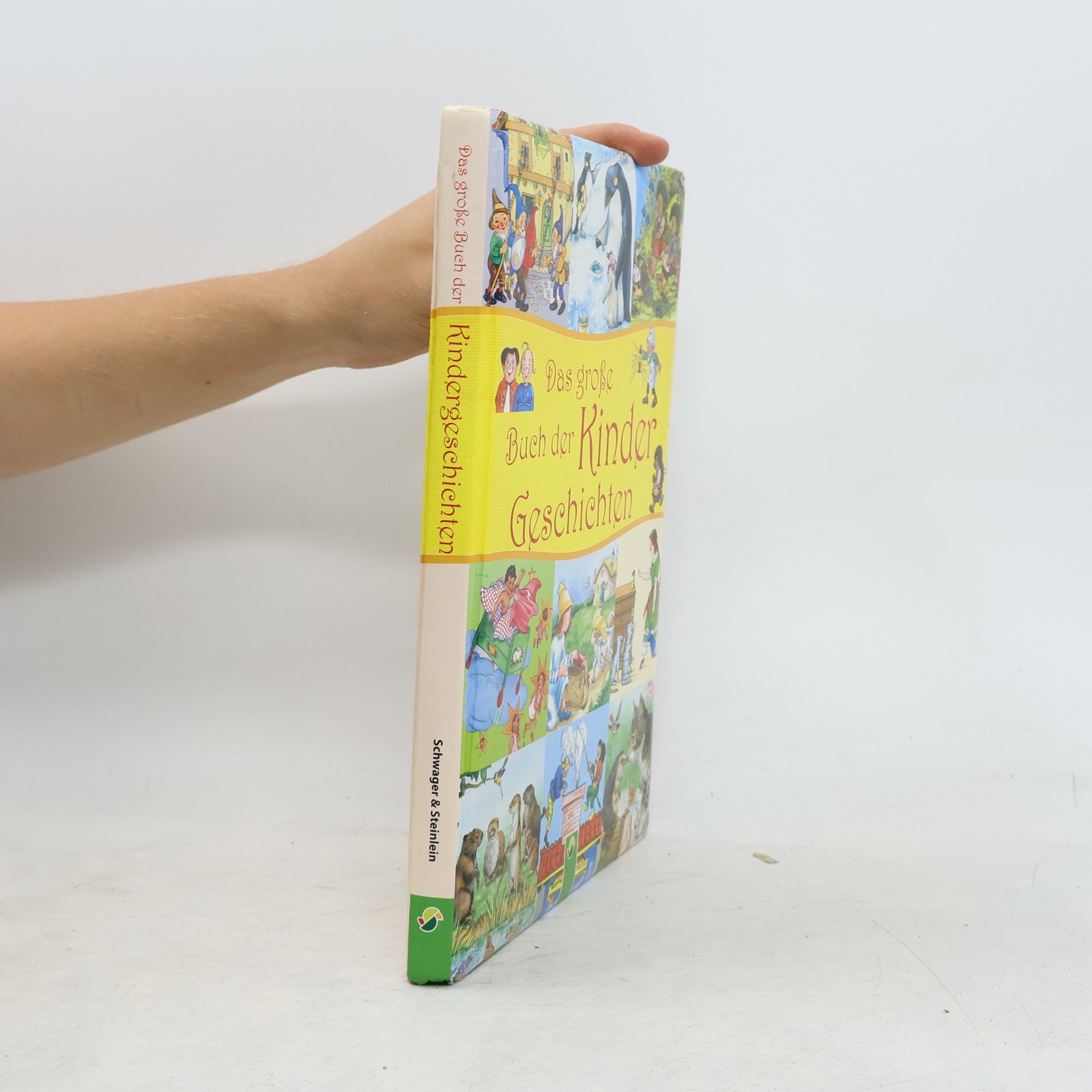 Various authors Das große Buch der Kindergeschichten