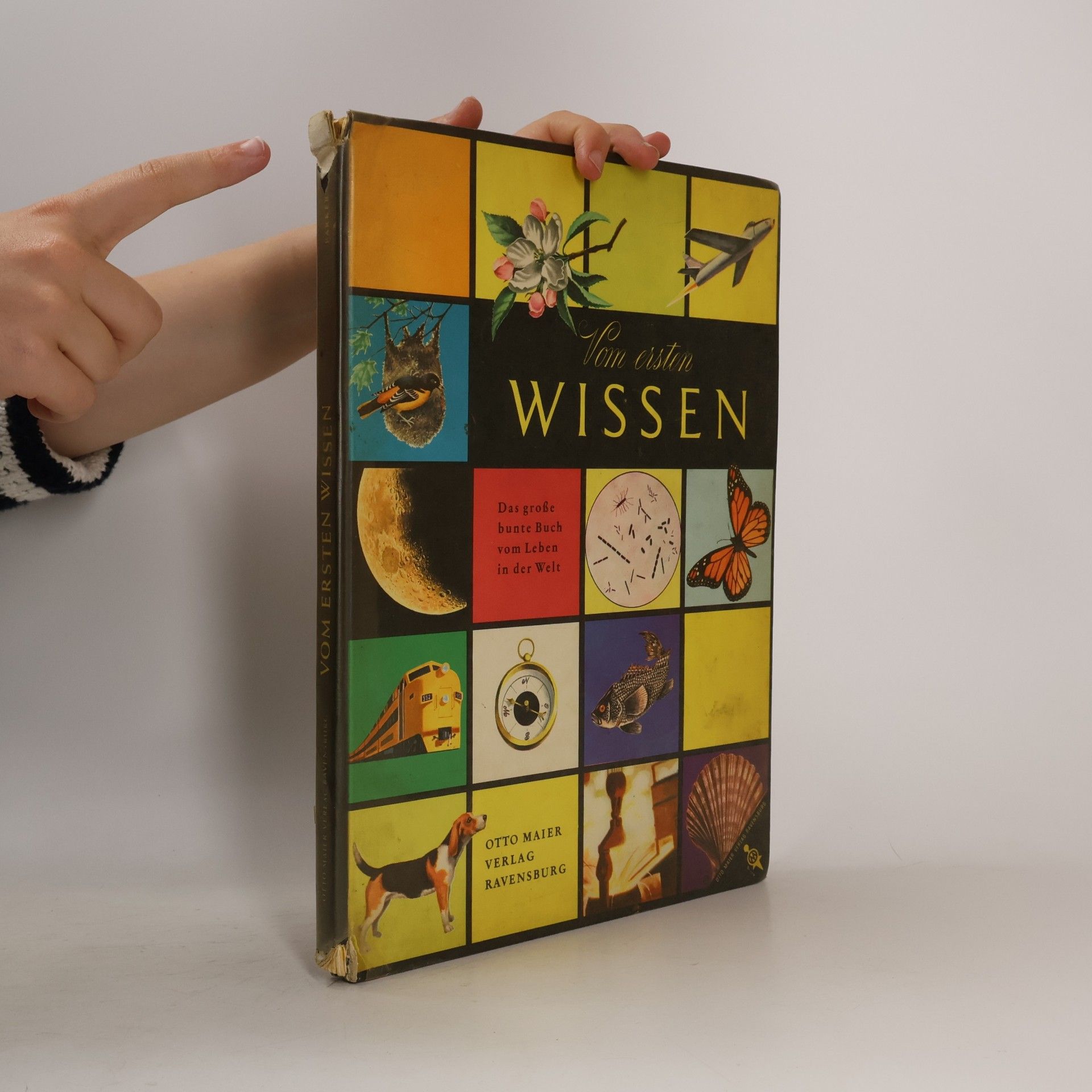 Bertha Morris Parker Vom ersten Wissen