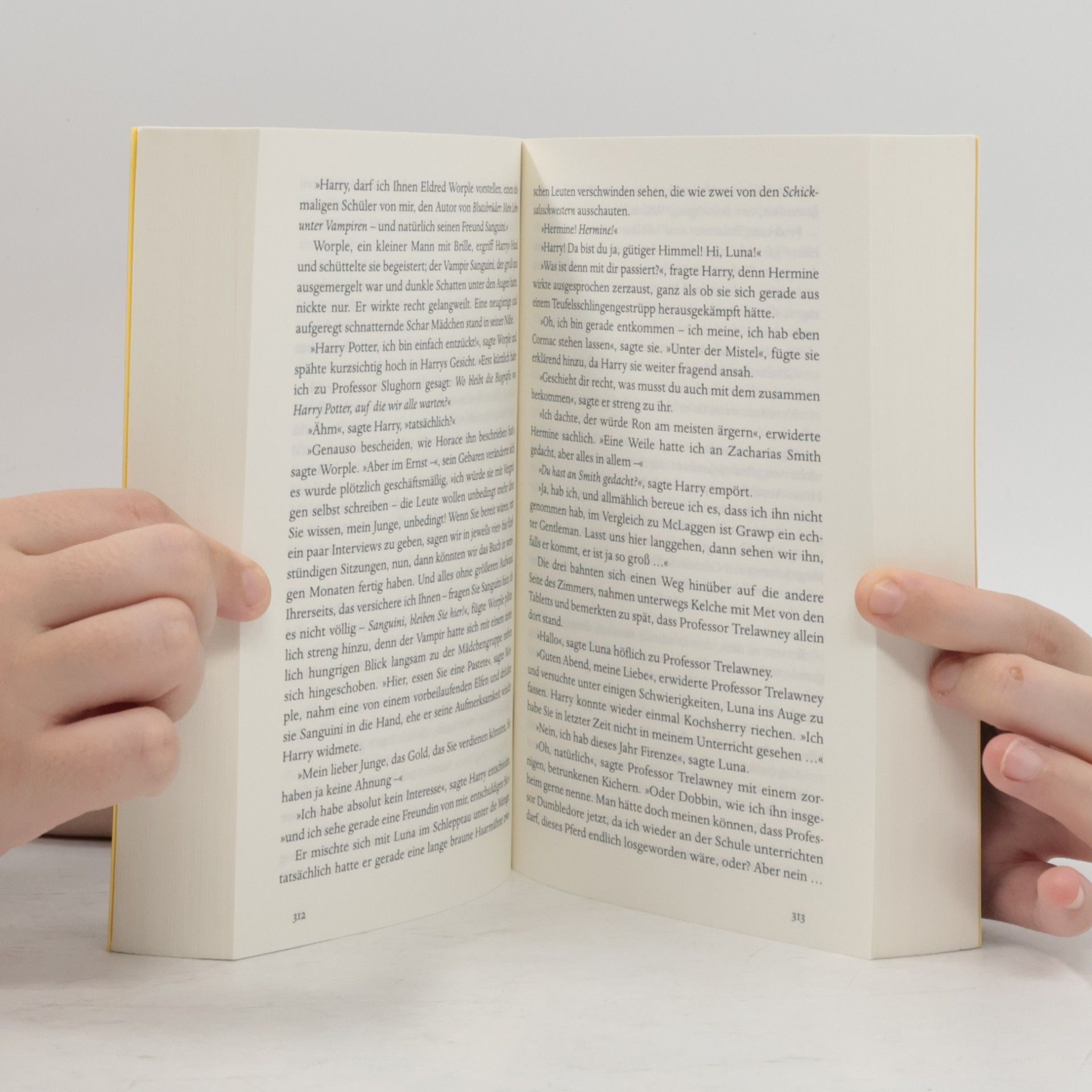 Klaus Fritz Harry Potter und der HalbblutpRinz