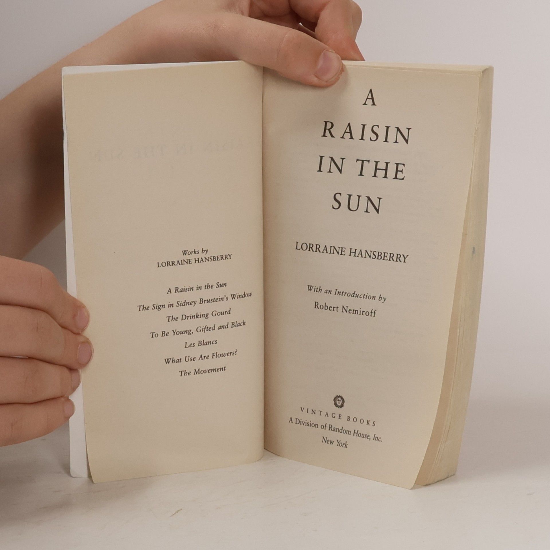 Lorraine Hansberry A Raisin in the Sun