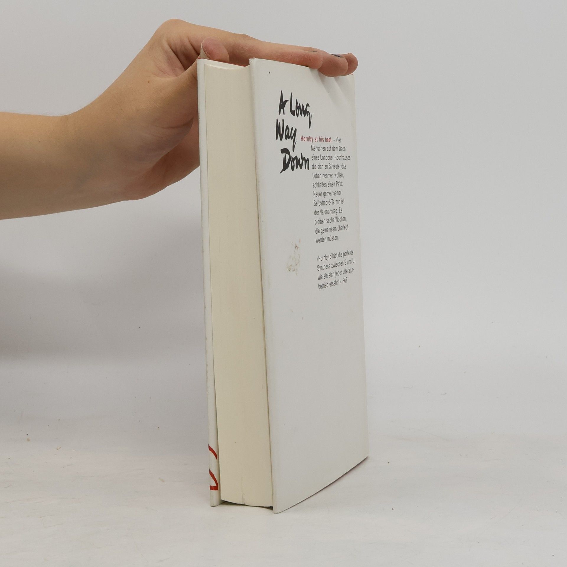 Nick Hornby A Long Way Down