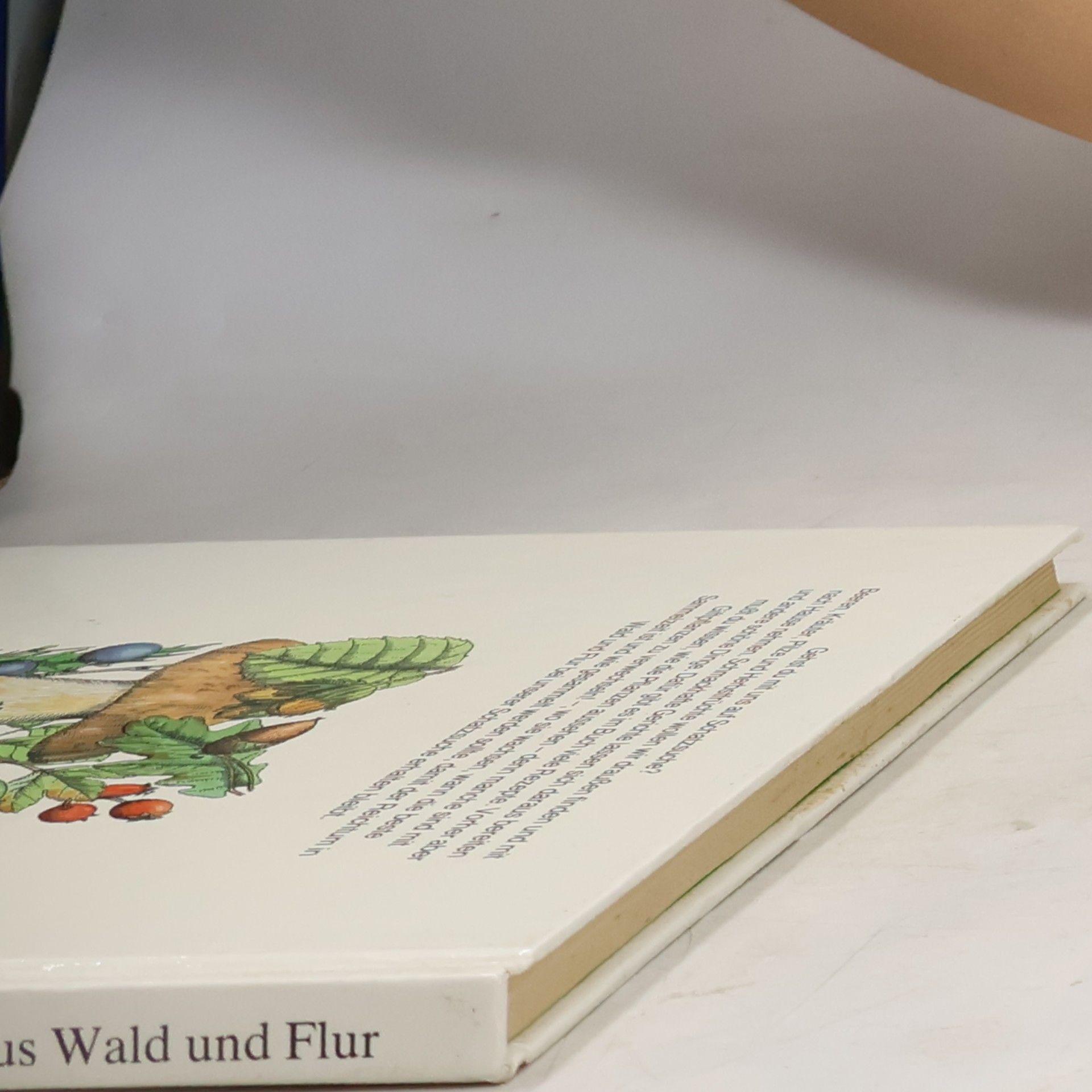 Elisabeth Manke Alle meine Pflanzen