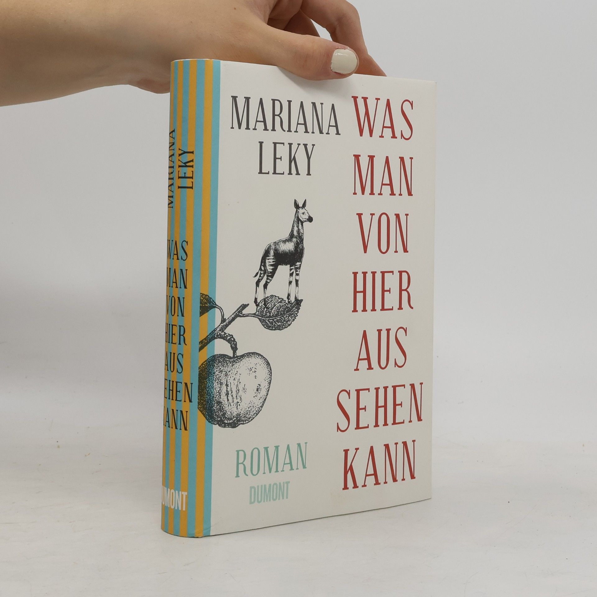 Mariana Leky Was man von hier aus sehen kann
