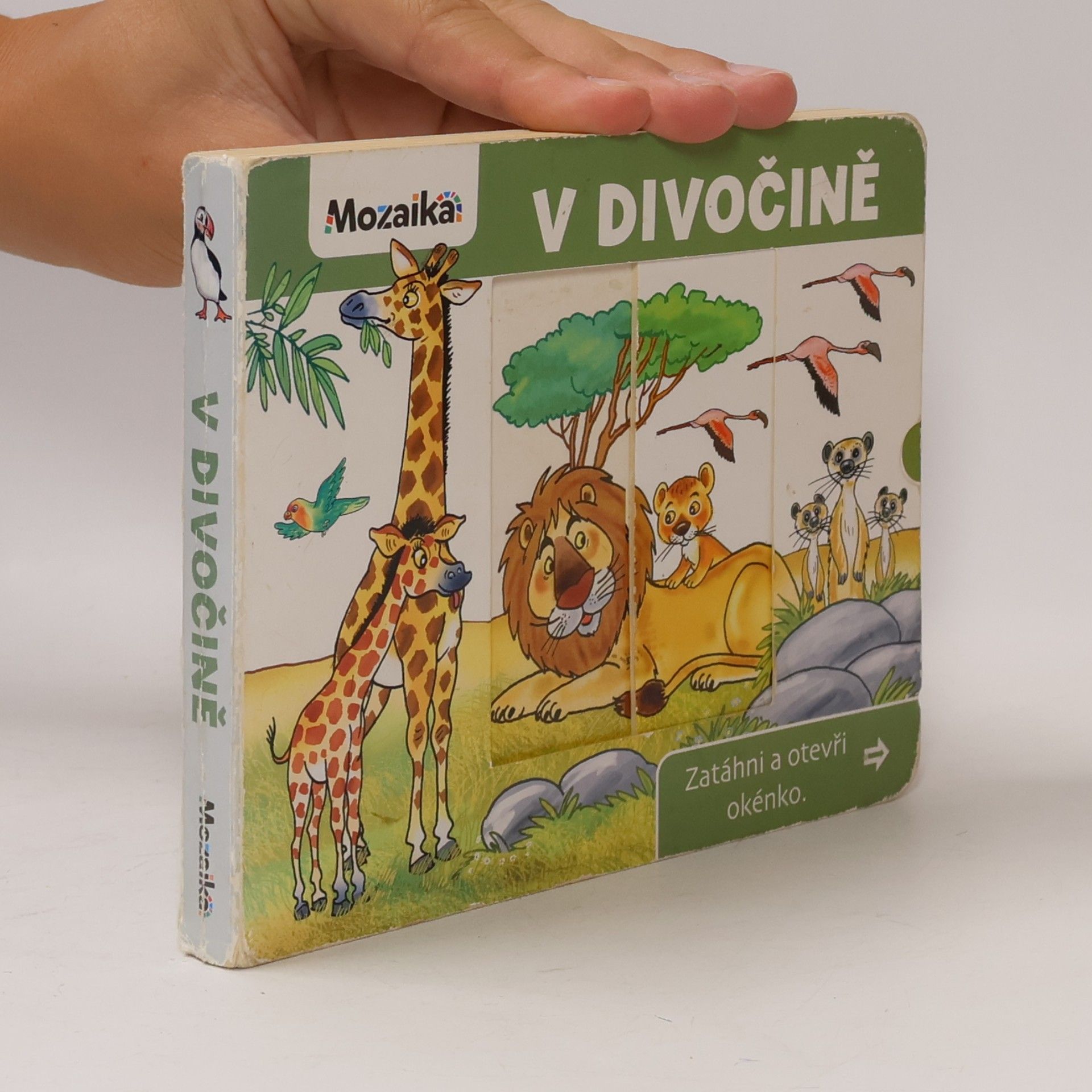 V divočině