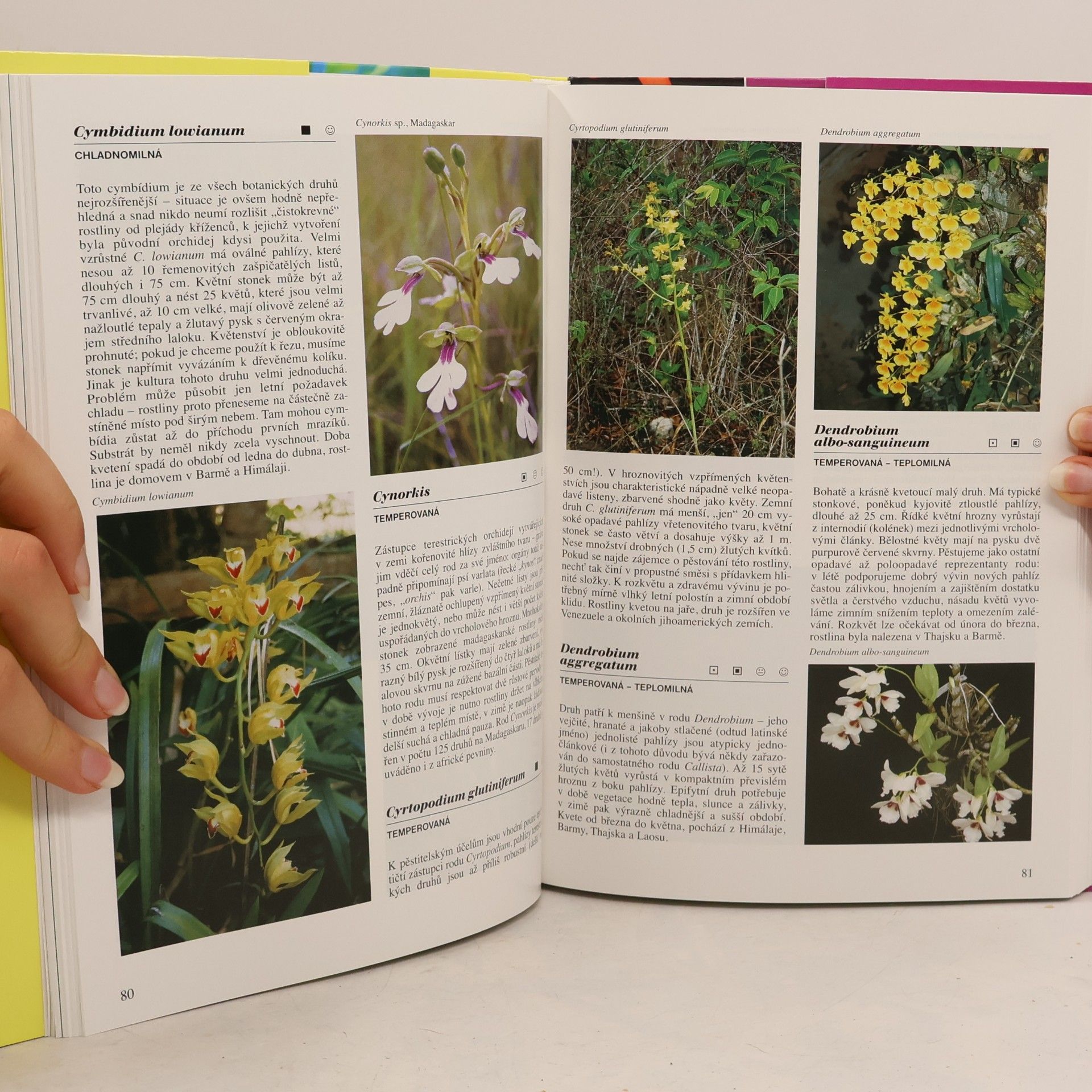 Zdeněk Ježek Orchideje: Praktická encyklopedie
