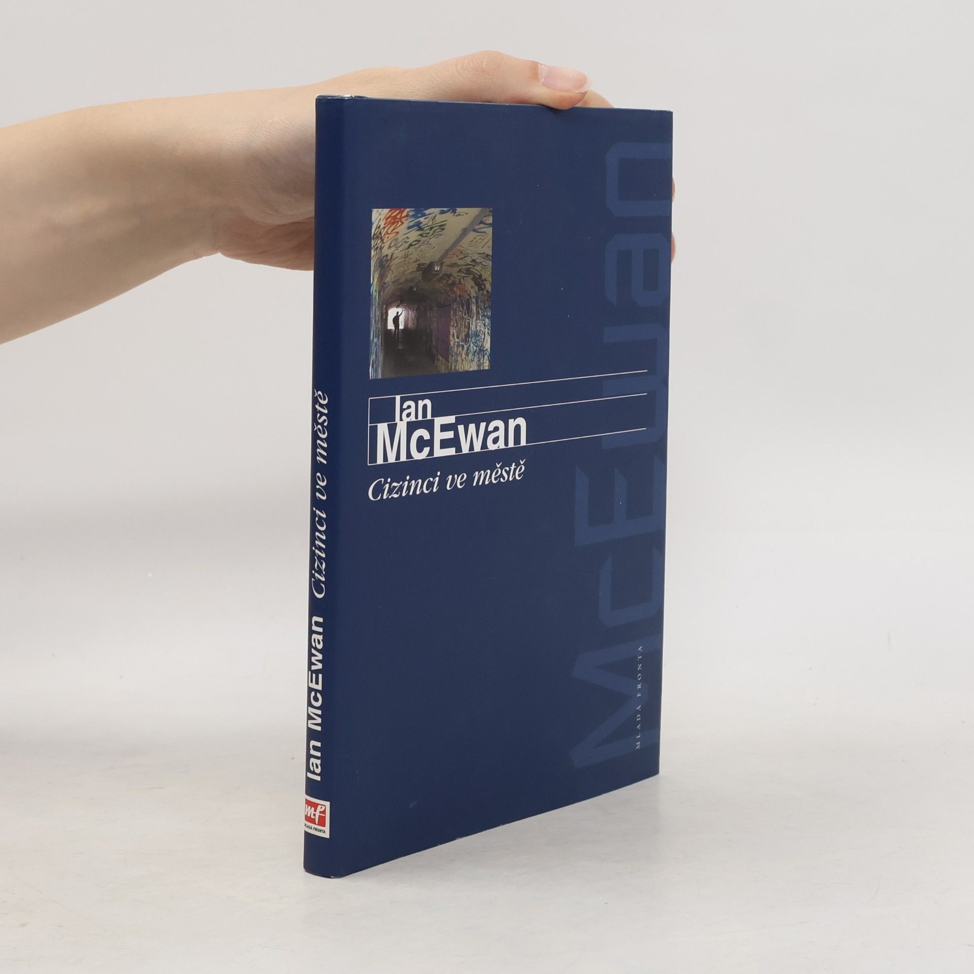 Ian McEwan Cizinci ve městě