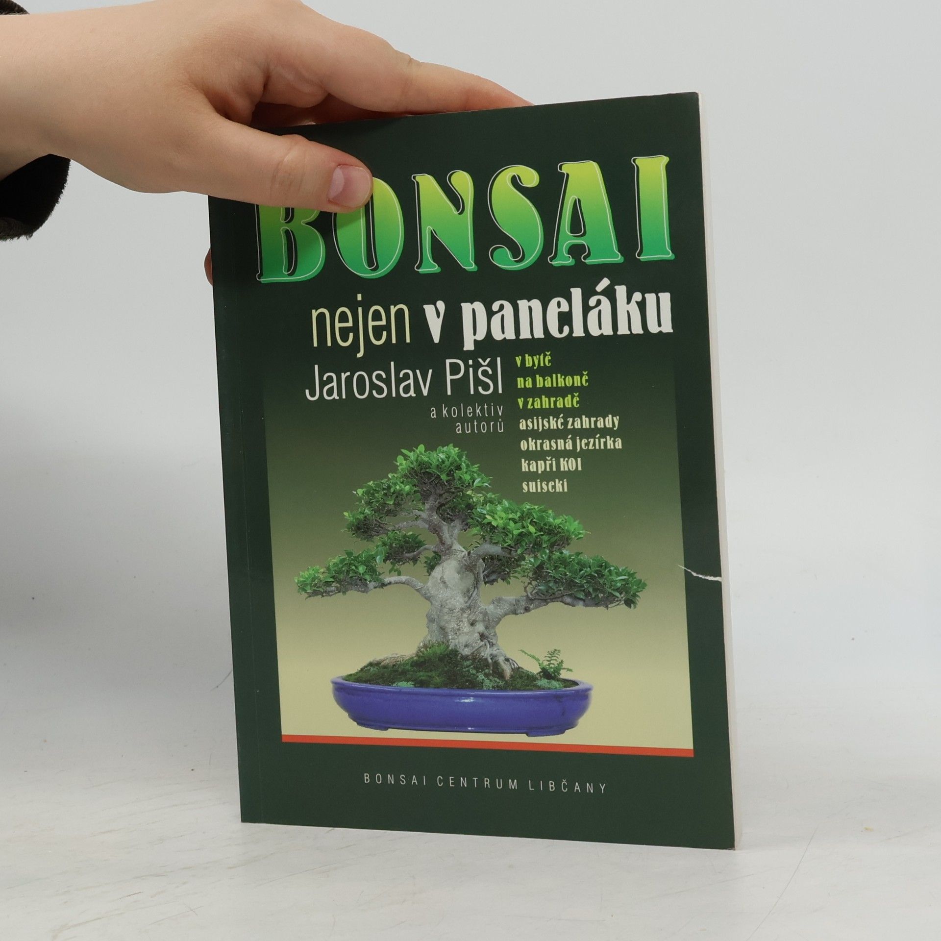 Jaroslav Pišl Bonsai nejen v paneláku
