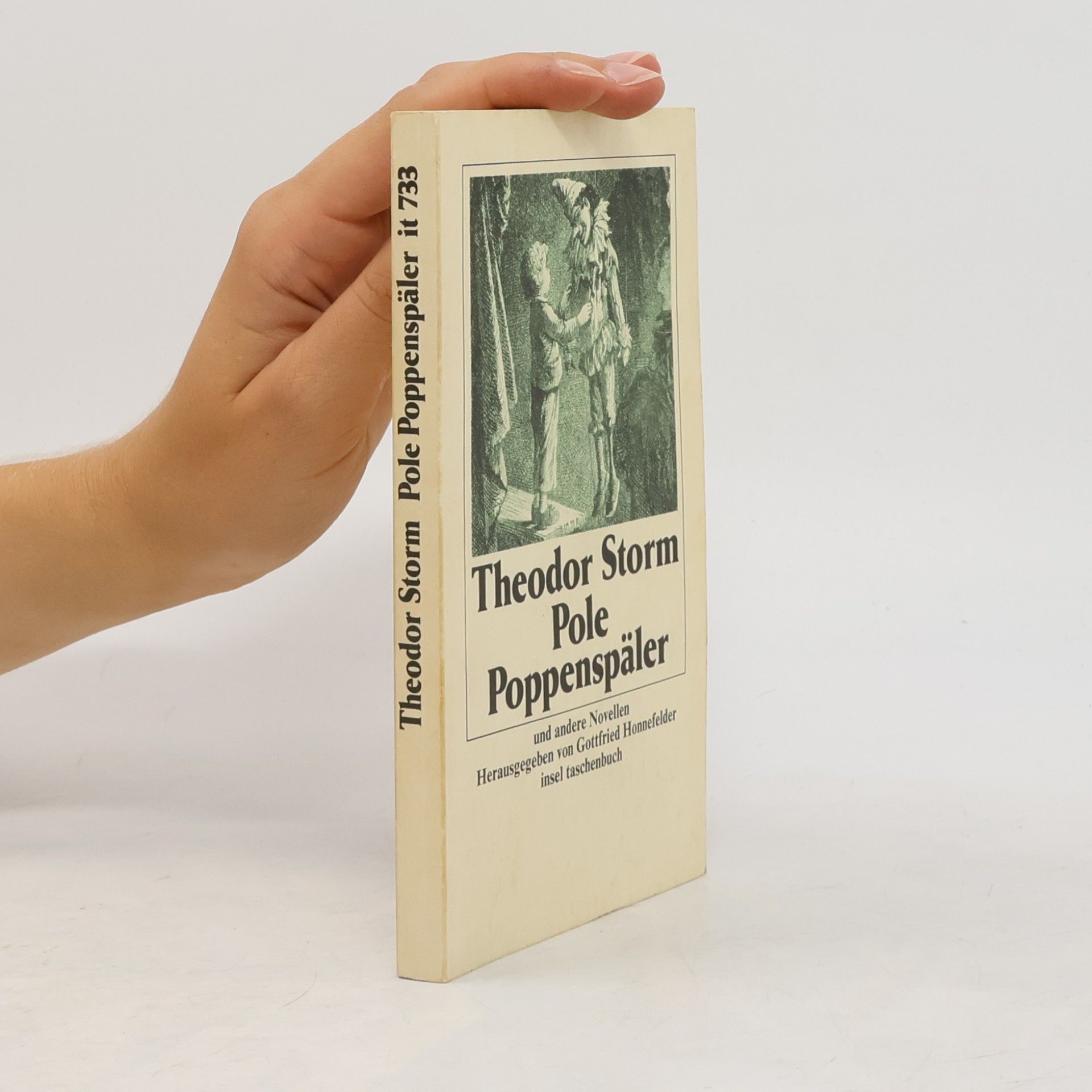 Theodor Storm Pole Poppenspäler und andere Novellen