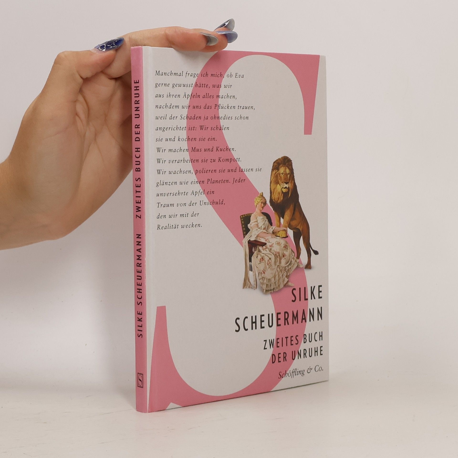 Zweites Buch der Unruhe