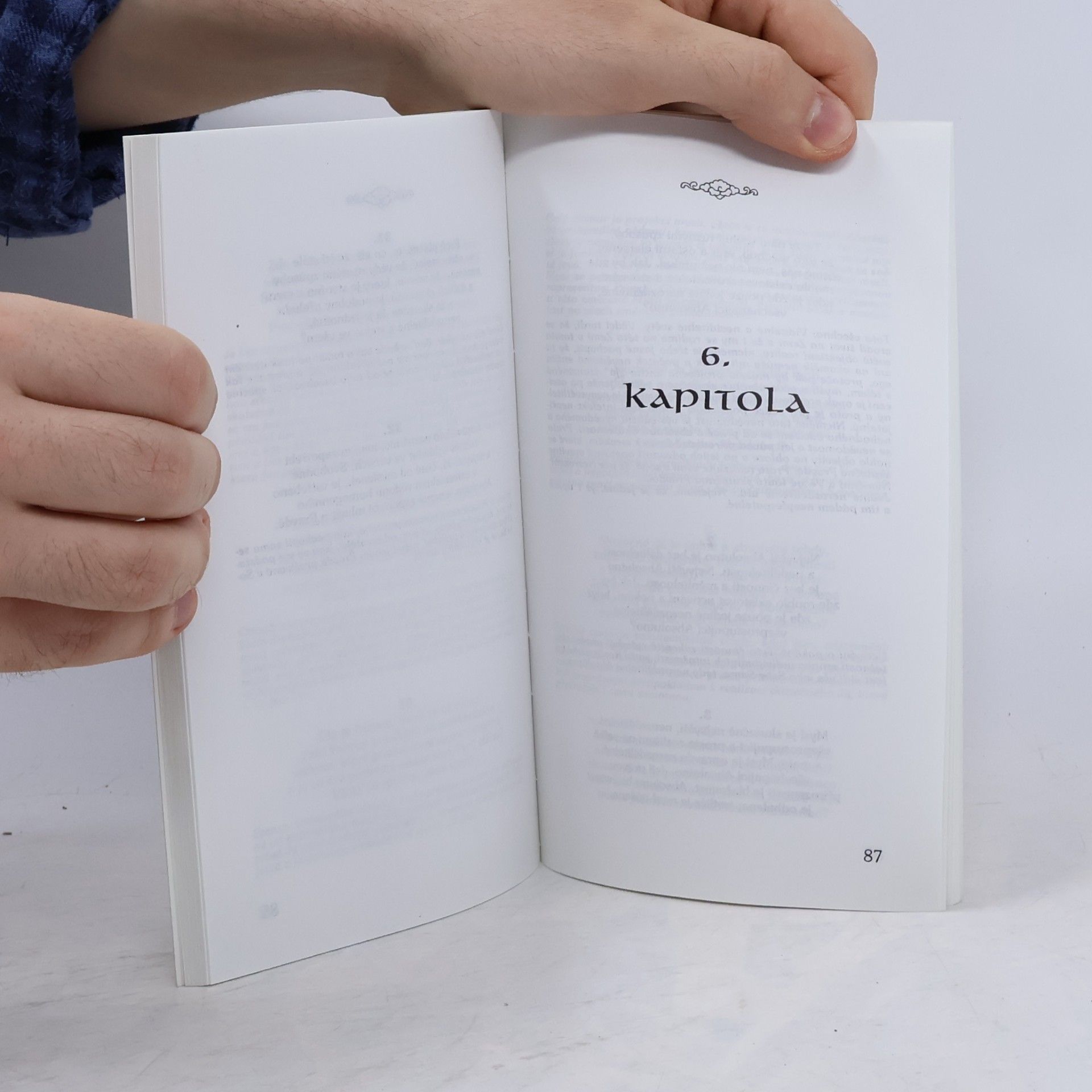Kolektiv autorů Avadhúta Gíta