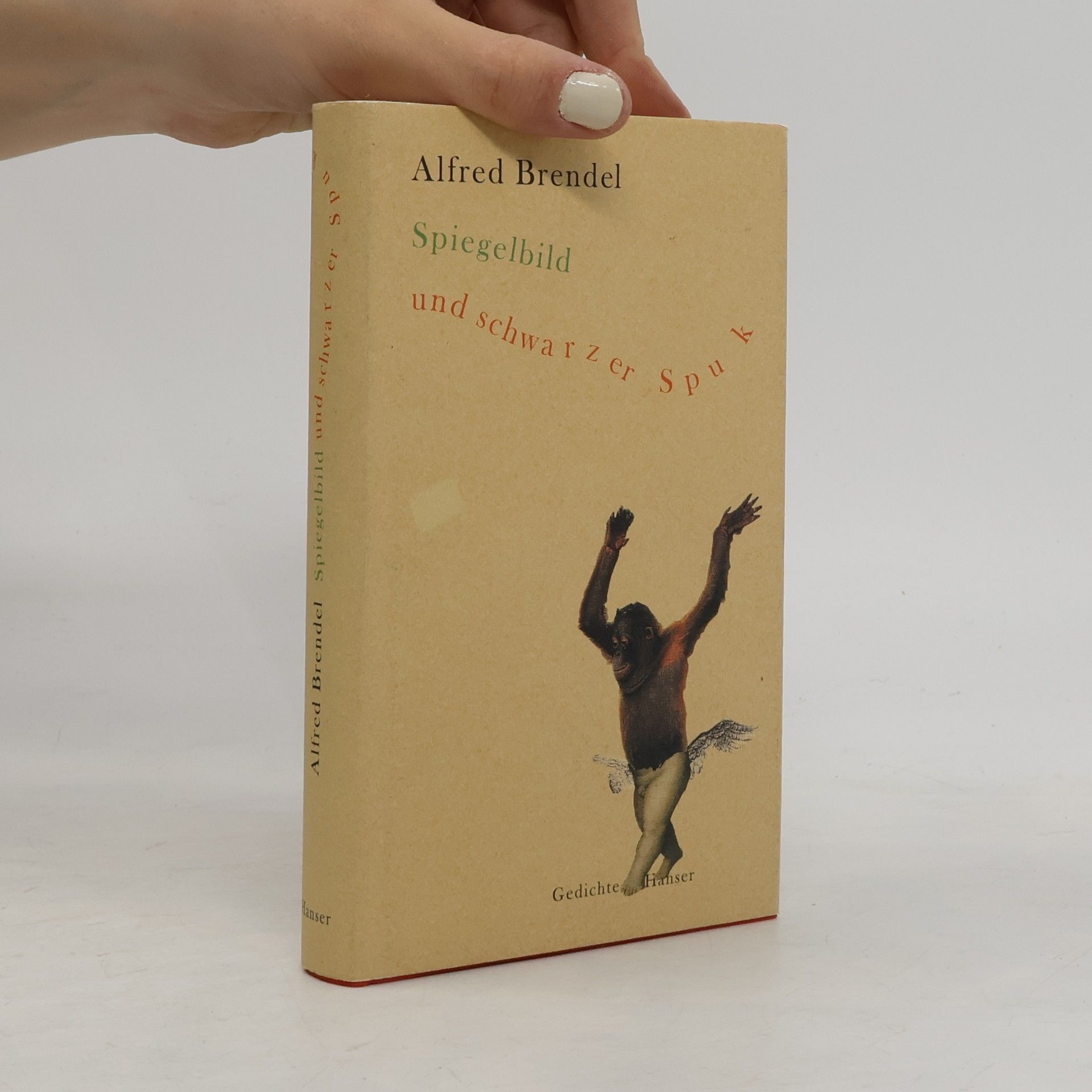 Alfred Brendel Spiegelbild und schwarzer Spuk