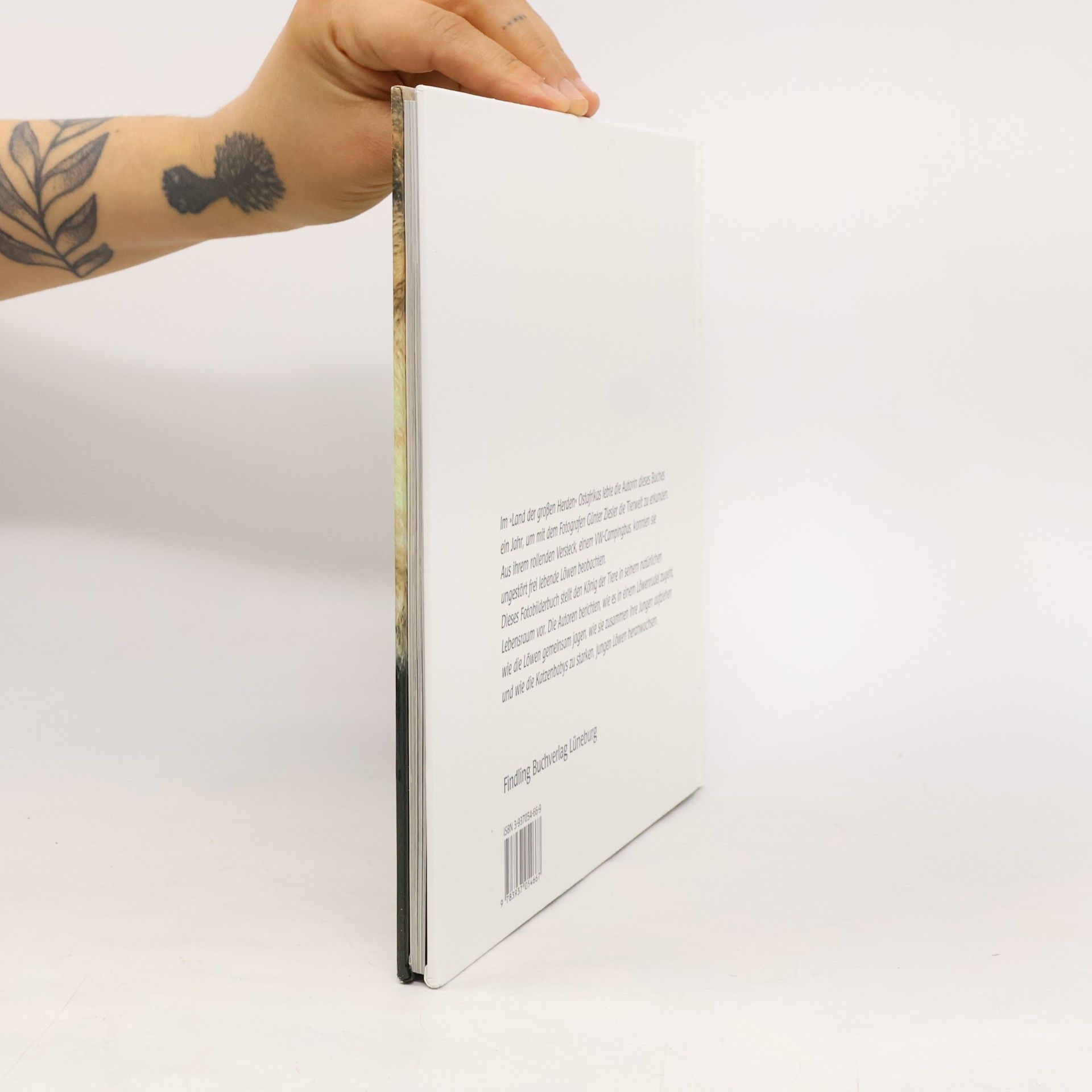Angelika Höfer Das Löwen-Kinder-Buch