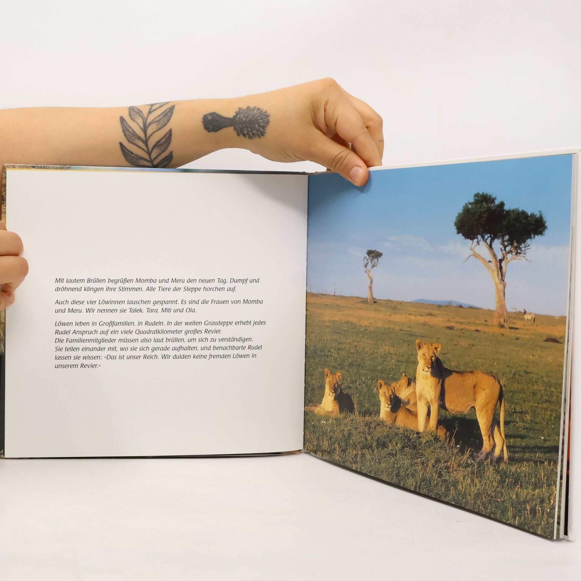 Angelika Höfer Das Löwen-Kinder-Buch