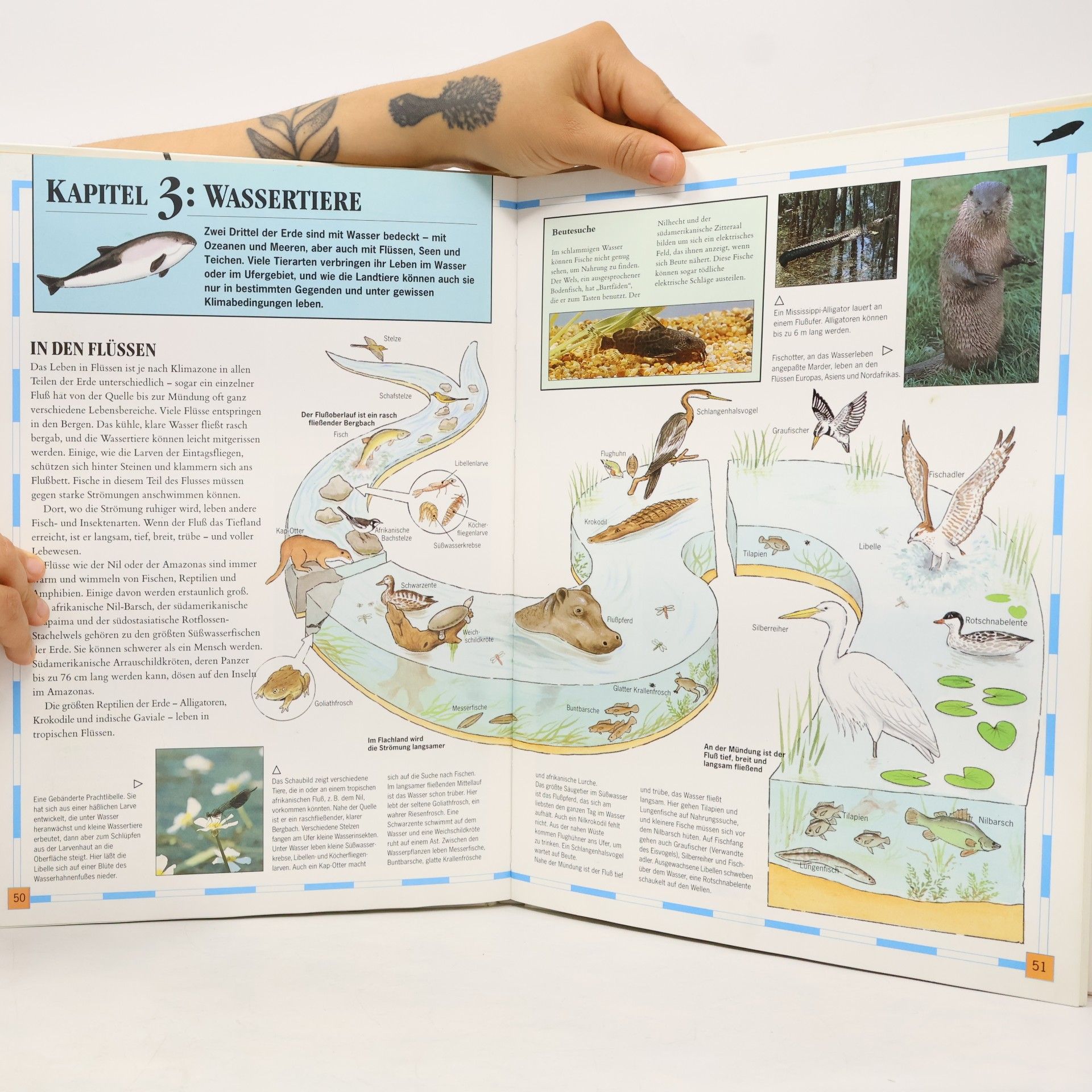 David Lambert Der Kosmos-Tieratlas
