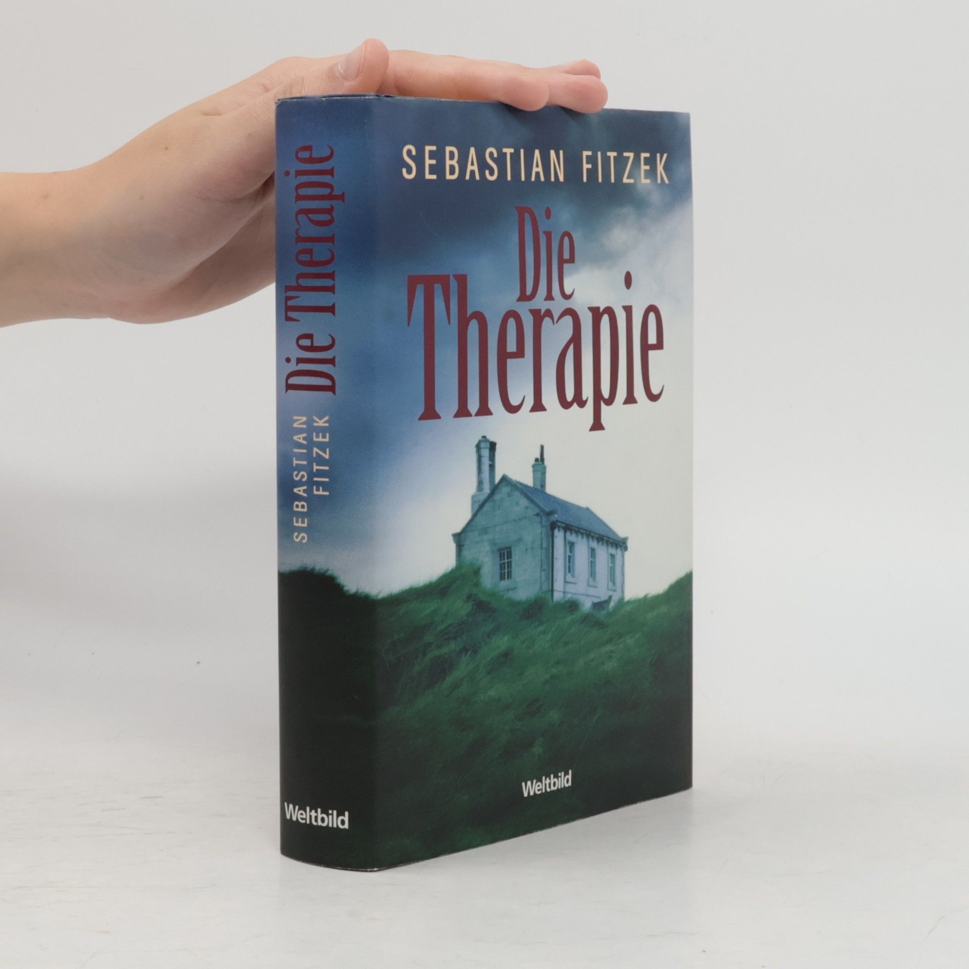 Sebastian Fitzek Die Therapie