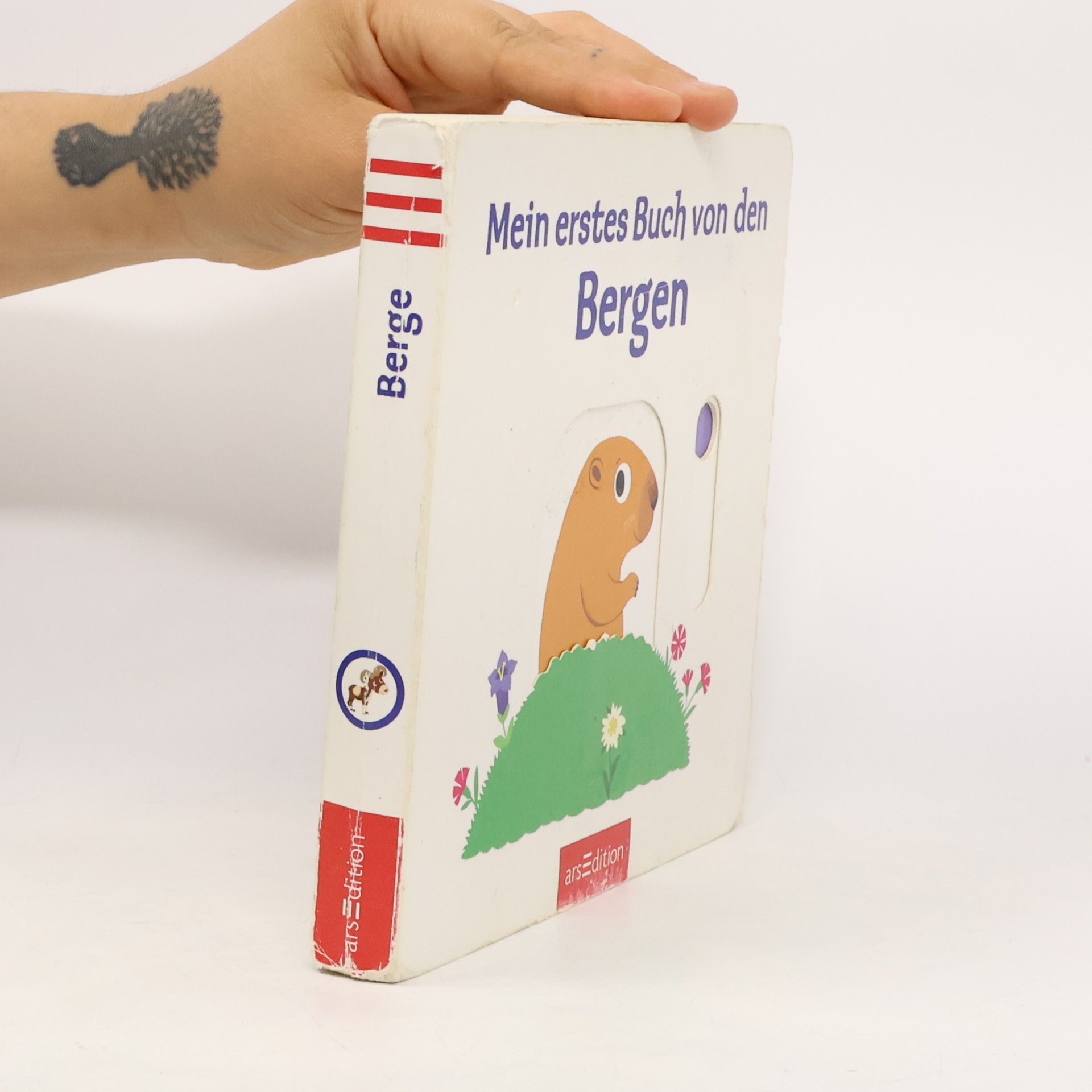 Nathalie Choux Mein erstes Buch von den Bergen