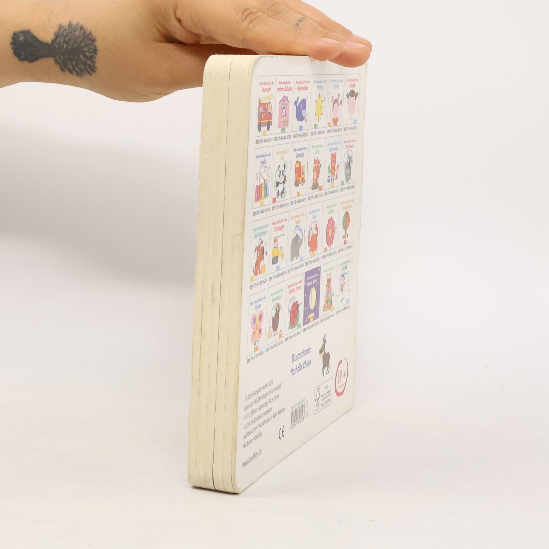 Nathalie Choux Mein erstes Buch von den Bergen