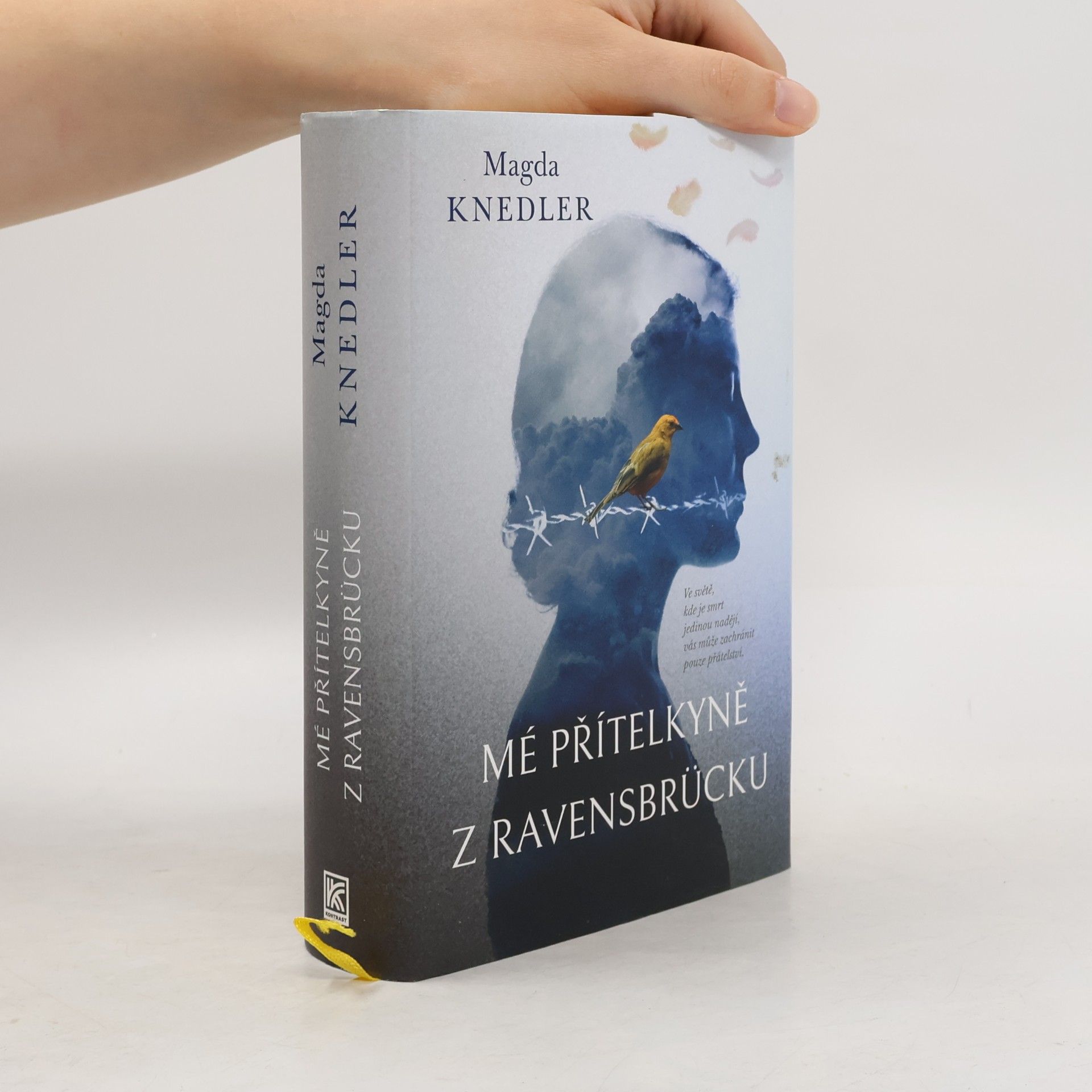 Magdalena Knedler Mé přítelkyně z Ravensbrücku