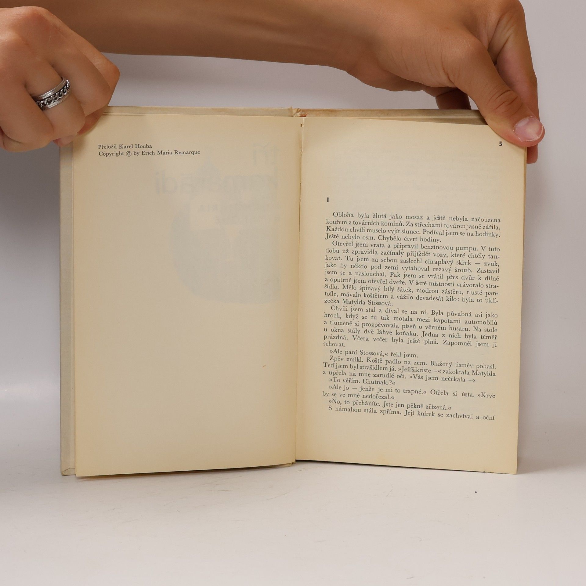 Erich Maria Remarque Tři kamarádi