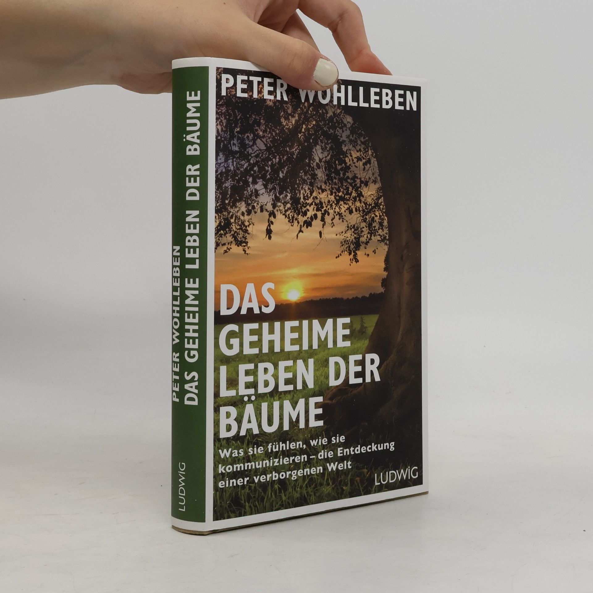 Peter Wohlleben Das geheime Leben der Bäume