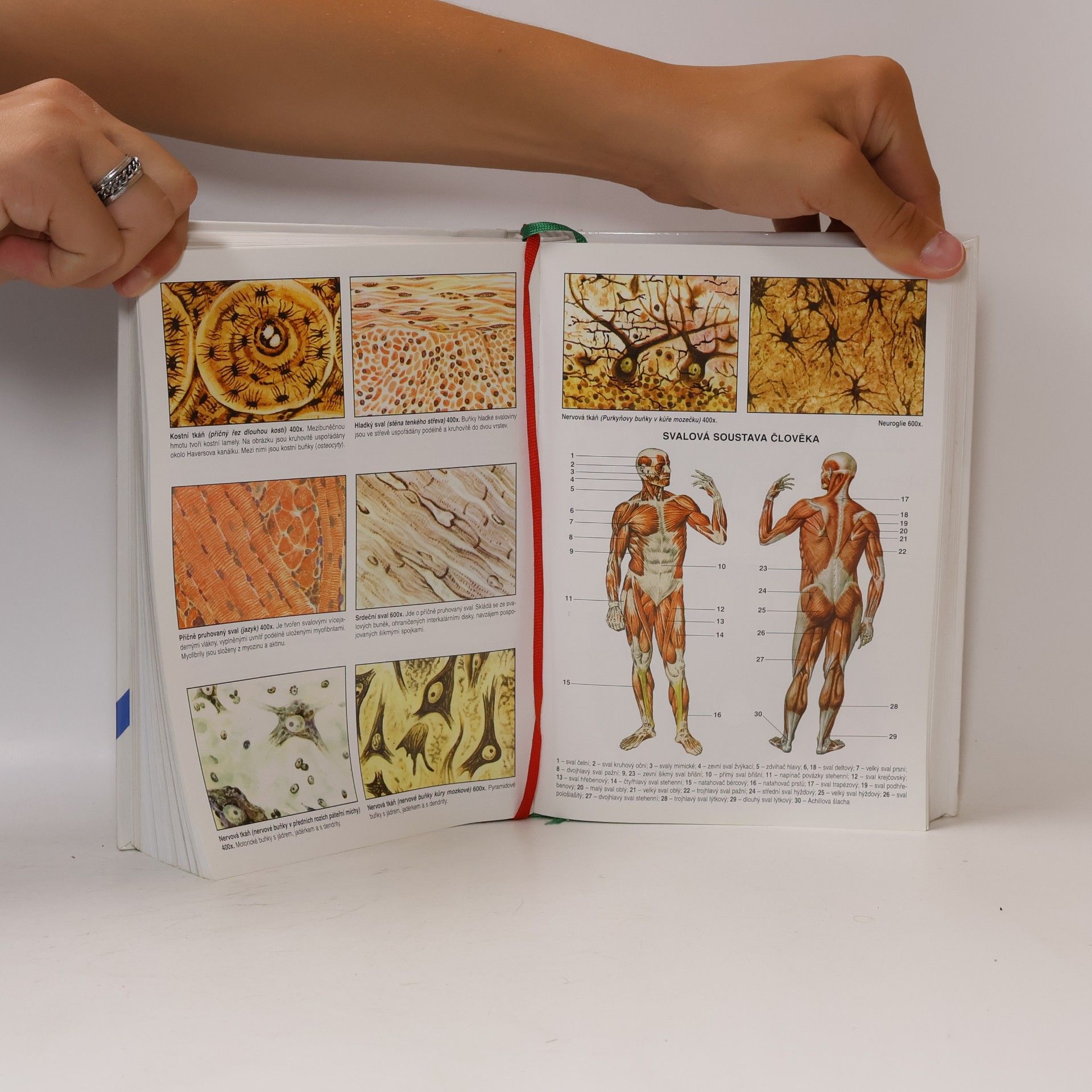 Jan Jelinek Biologie pro gymnázia