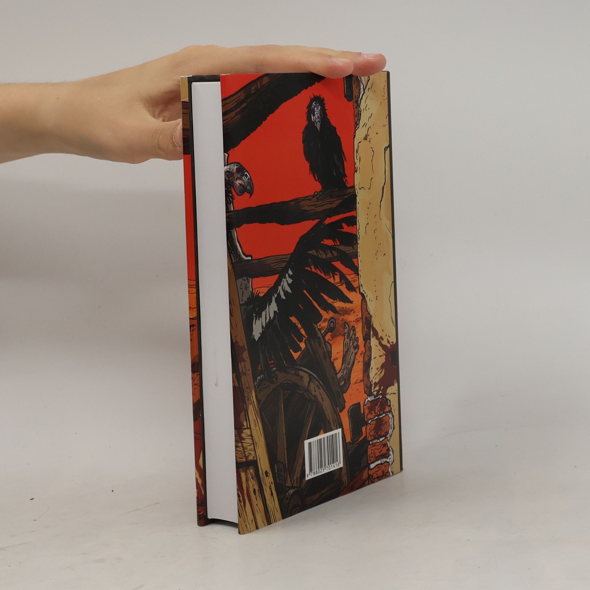 Cormac McCarthy Krvavý poledník aneb Večerní červánky na západě
