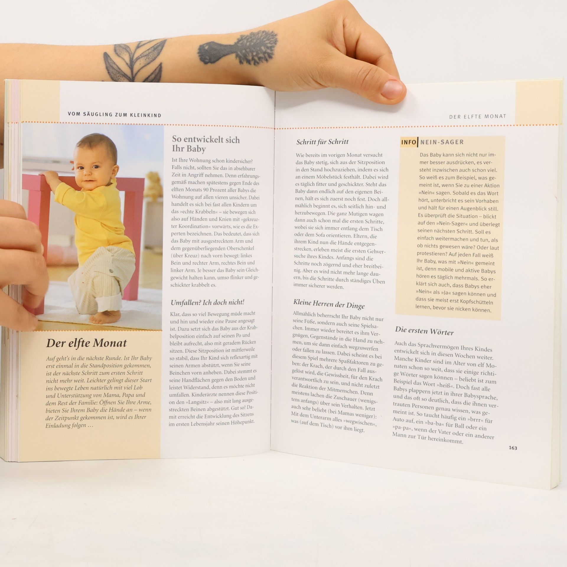 Autorenkollektiv Das grosse GU Babybuch