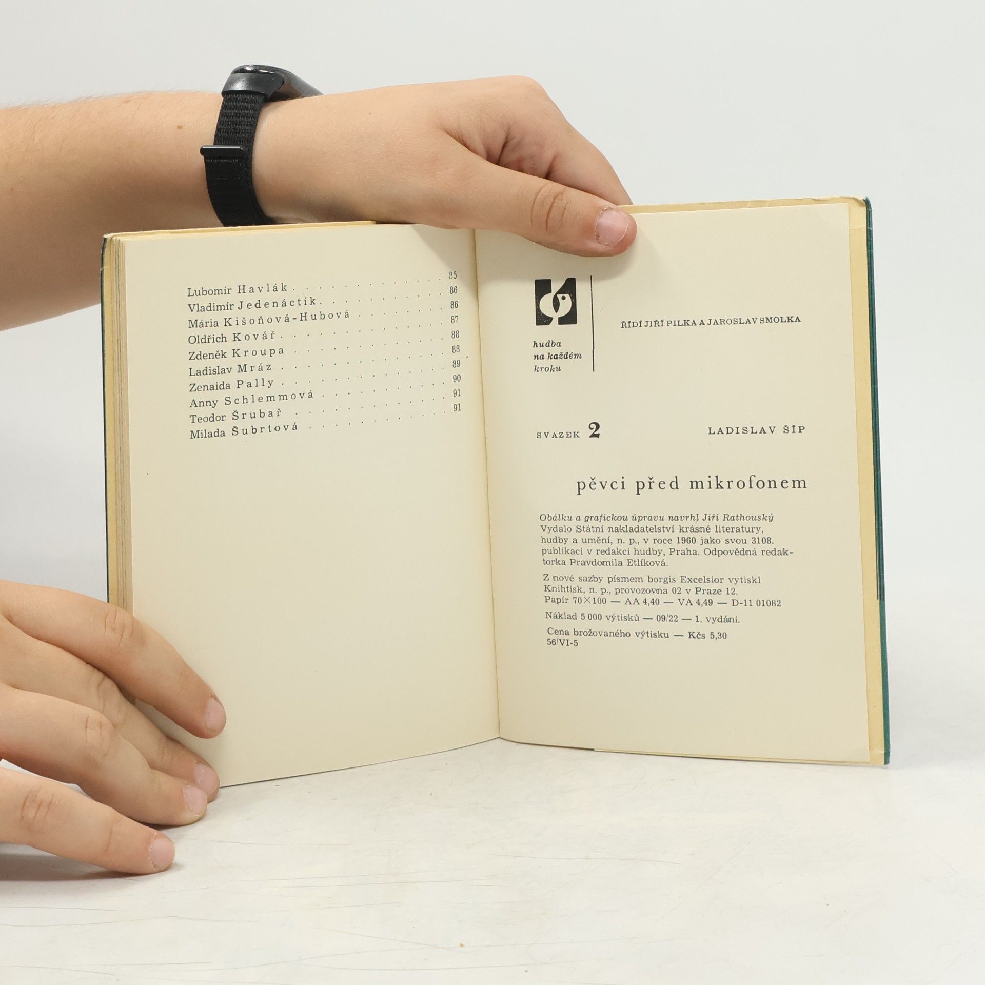 Ladislav Šíp Pěvci před mikrofonem