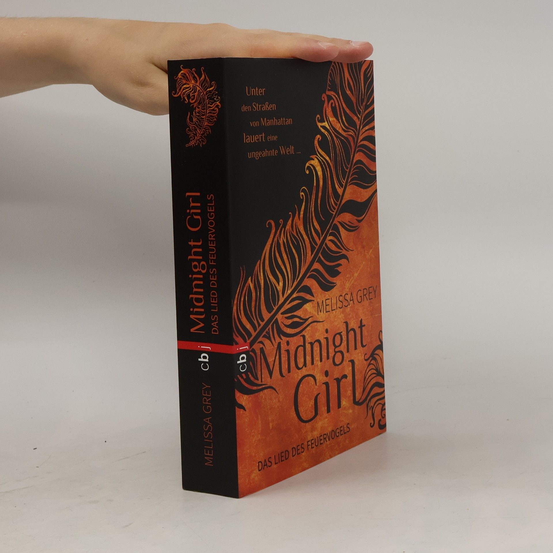 Melissa Grey Midnight Girl: Das Lied des Feuervogels